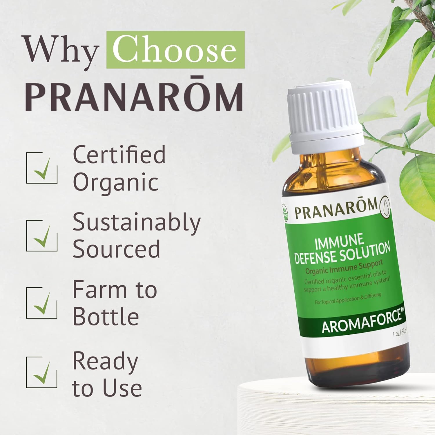 Pranarom - Aromaforce Immune Defense Solution - Eucalyptus, Rosemary, Peppermint, Corriander, and Clove Bud - 100% Pure Essential Oil Blend | USDA and ECOCERT Certified Organic (30ml)