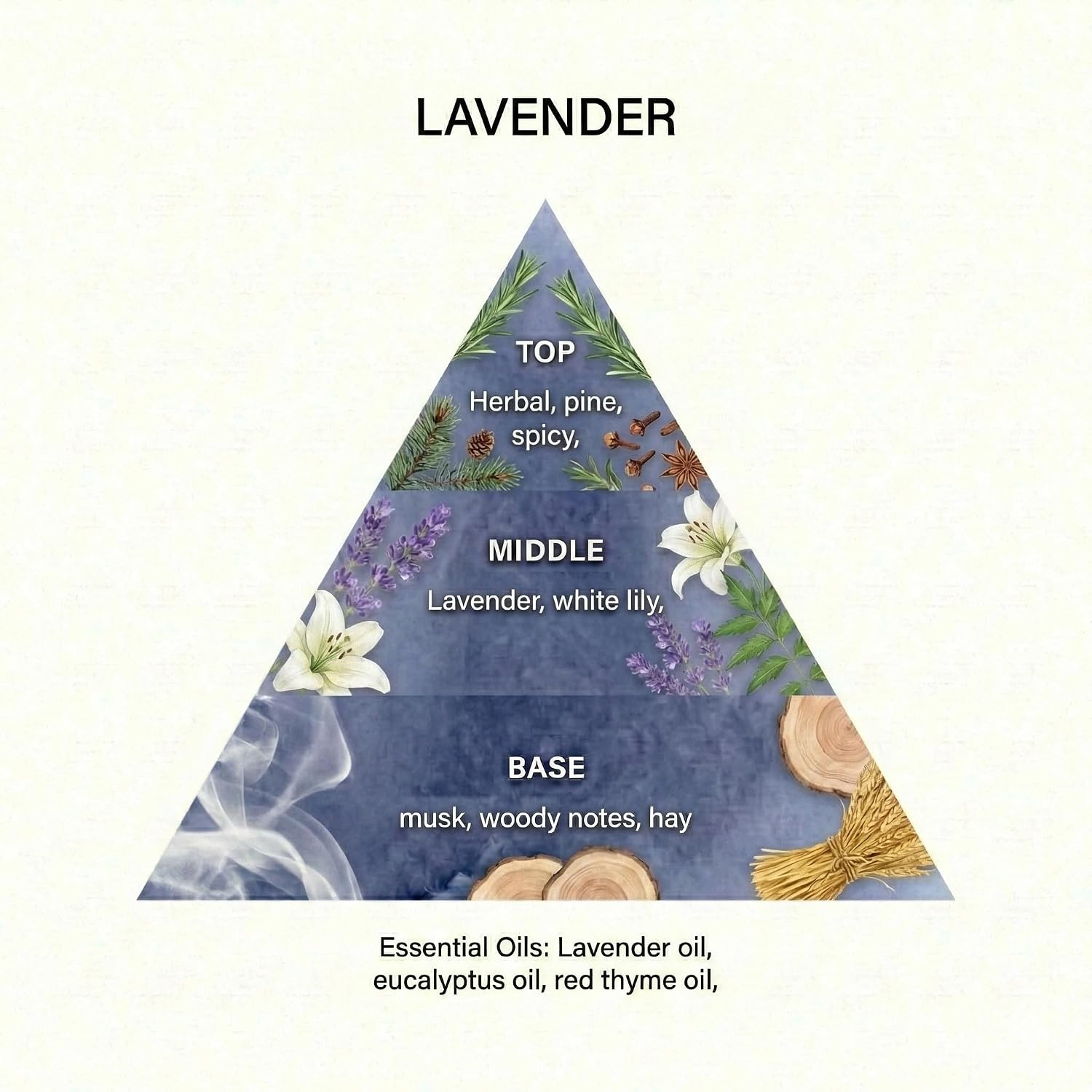 The Master Herbalist Scented Wardrobe Freshener Sachets in a William Morris Design. Available in Lavender, Sandalwood, Rose, Lily and Lilac (Lavender, Pack of 2)