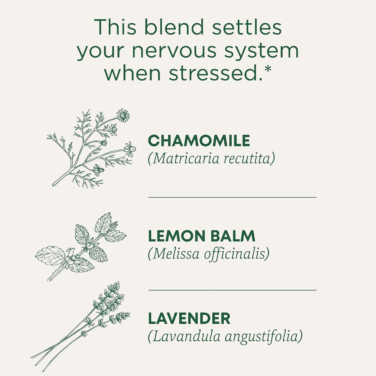 Traditional Medicinals Organic, Chamomile & Lavender - Chamomile Tea Supporting Stress Relief and Relaxation - Kosher, Non-GMO, Caffeine-Free, Compostable - 16 Tea Bags