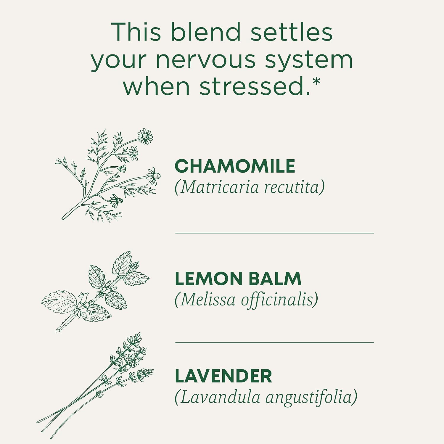 Traditional Medicinals Organic, Chamomile & Lavender - Chamomile Tea Supporting Stress Relief and Relaxation - Kosher, Non-GMO, Caffeine-Free, Compostable - 16 Tea Bags