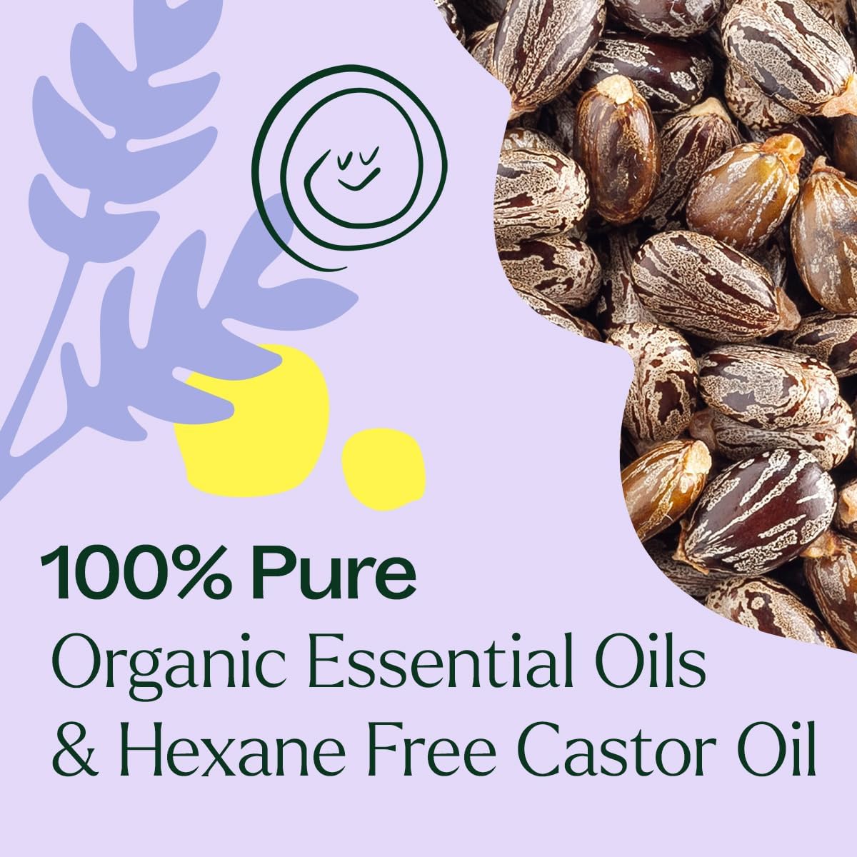 Plant Therapy Organic Lavender & Frankincense Castor Body Oil Roll-On 30 mL (1 oz) Soothes Dryness, and Skin Irritation, Calming Aroma, Relaxation, Pure, Organic Formula, Healing Benefits