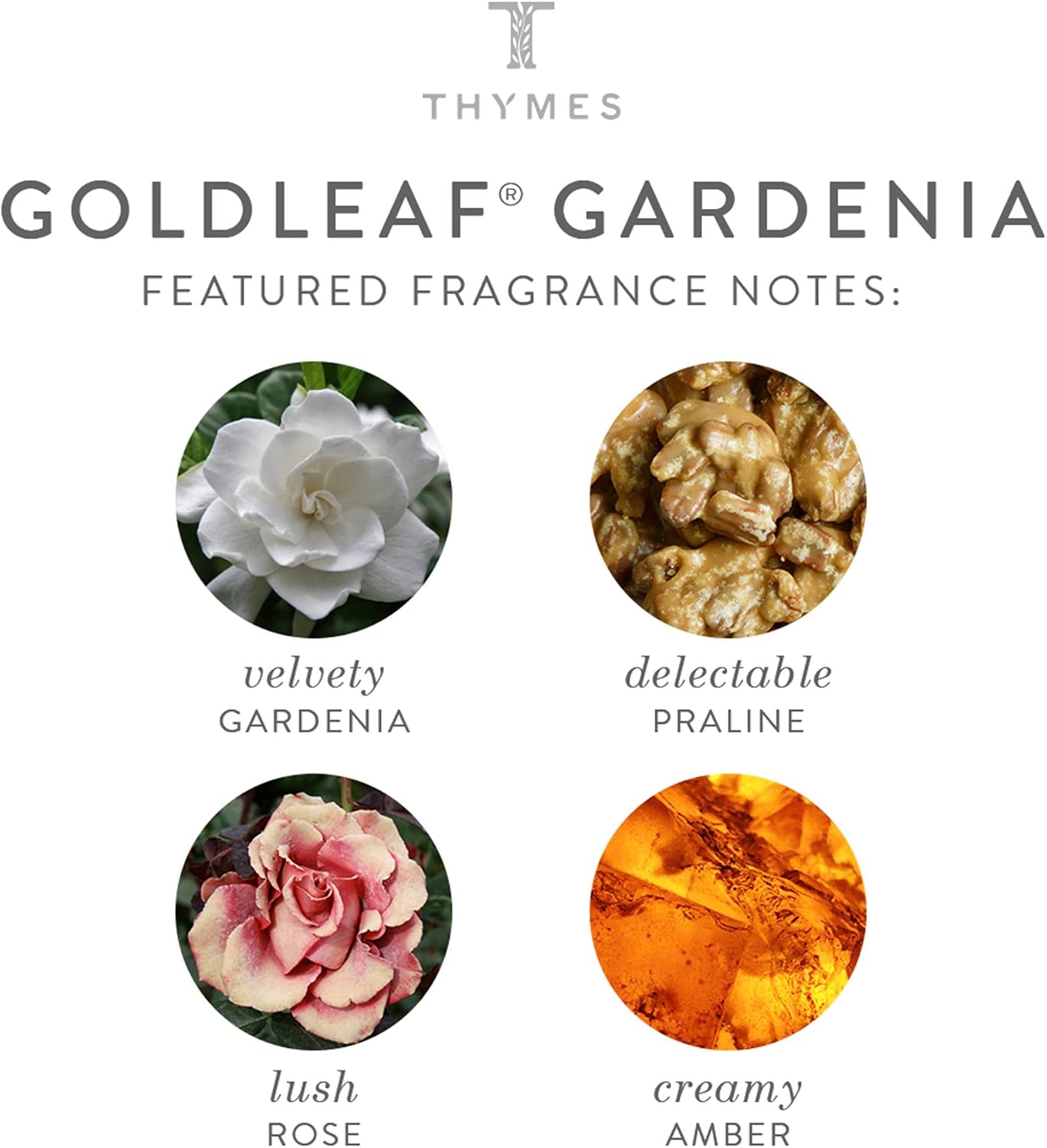 Thymes Home Fragrance Mist – Room Air Fresheners for Home Long Lasting – Air Freshener Spray – Premium Home Fragrance – Floral Notes of Gardenia, Lush Rose, & Fresh Jasmine (Goldleaf Gardenia, 3 oz)