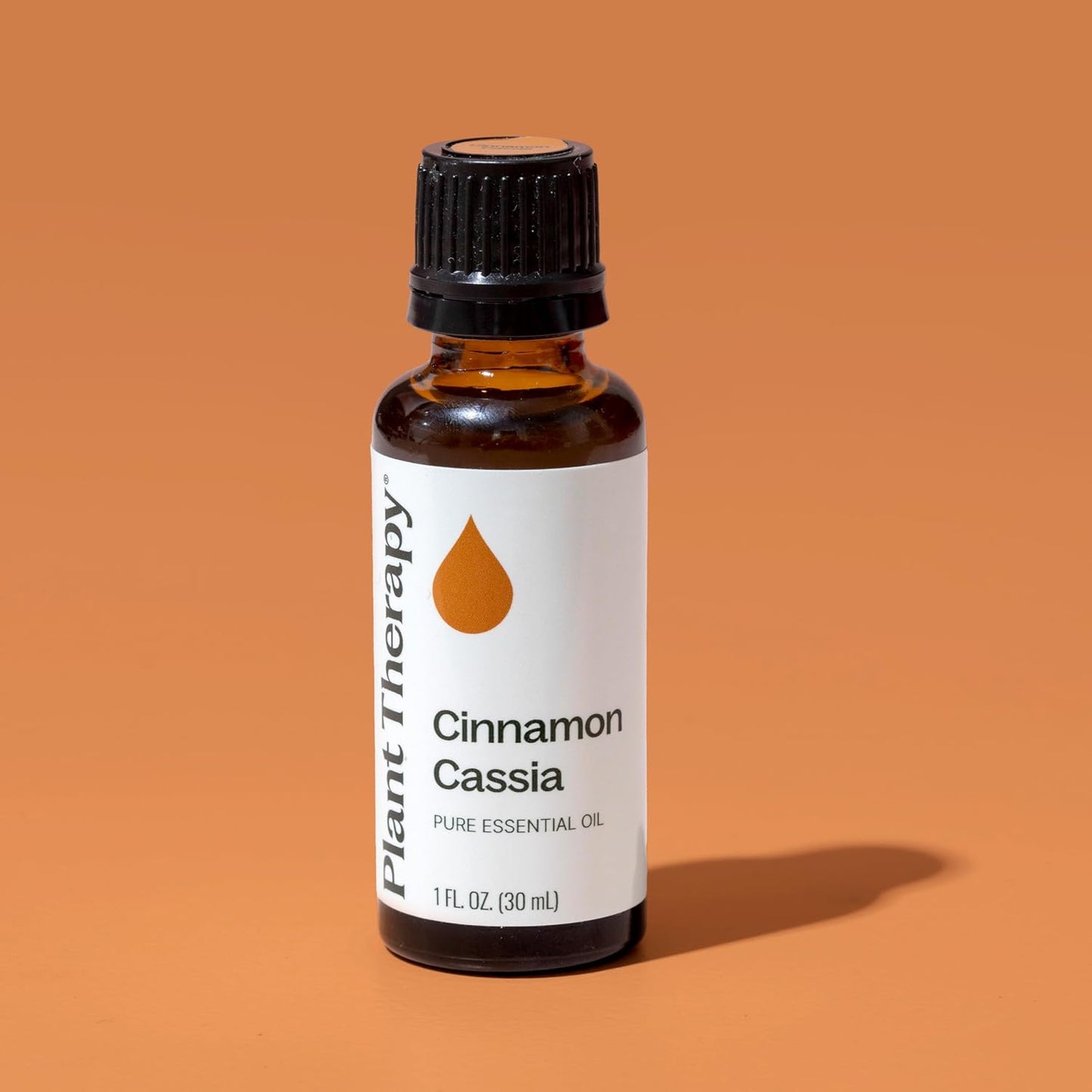 Plant Therapy Cinnamon Cassia Essential Oil 30 mL (1 oz) 100% Pure, Undiluted, Cozy Aroma, Soothes Sore Muscle