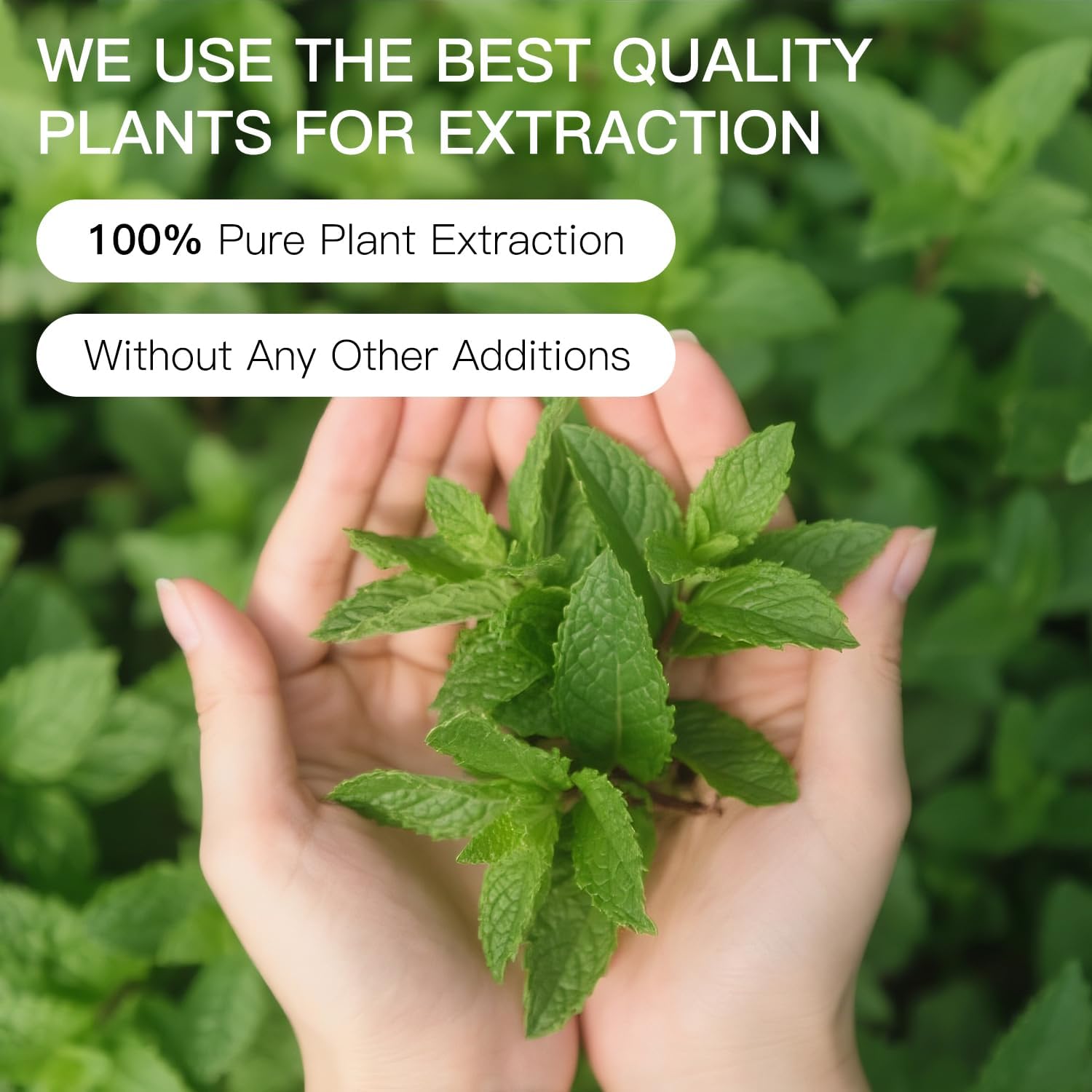 Peppermint Essential Oil Blend, Mint Oil, Essential Oils Organic, Hair Growth & Scalp Care, Essential Oils for Diffusers for Home 10ML
