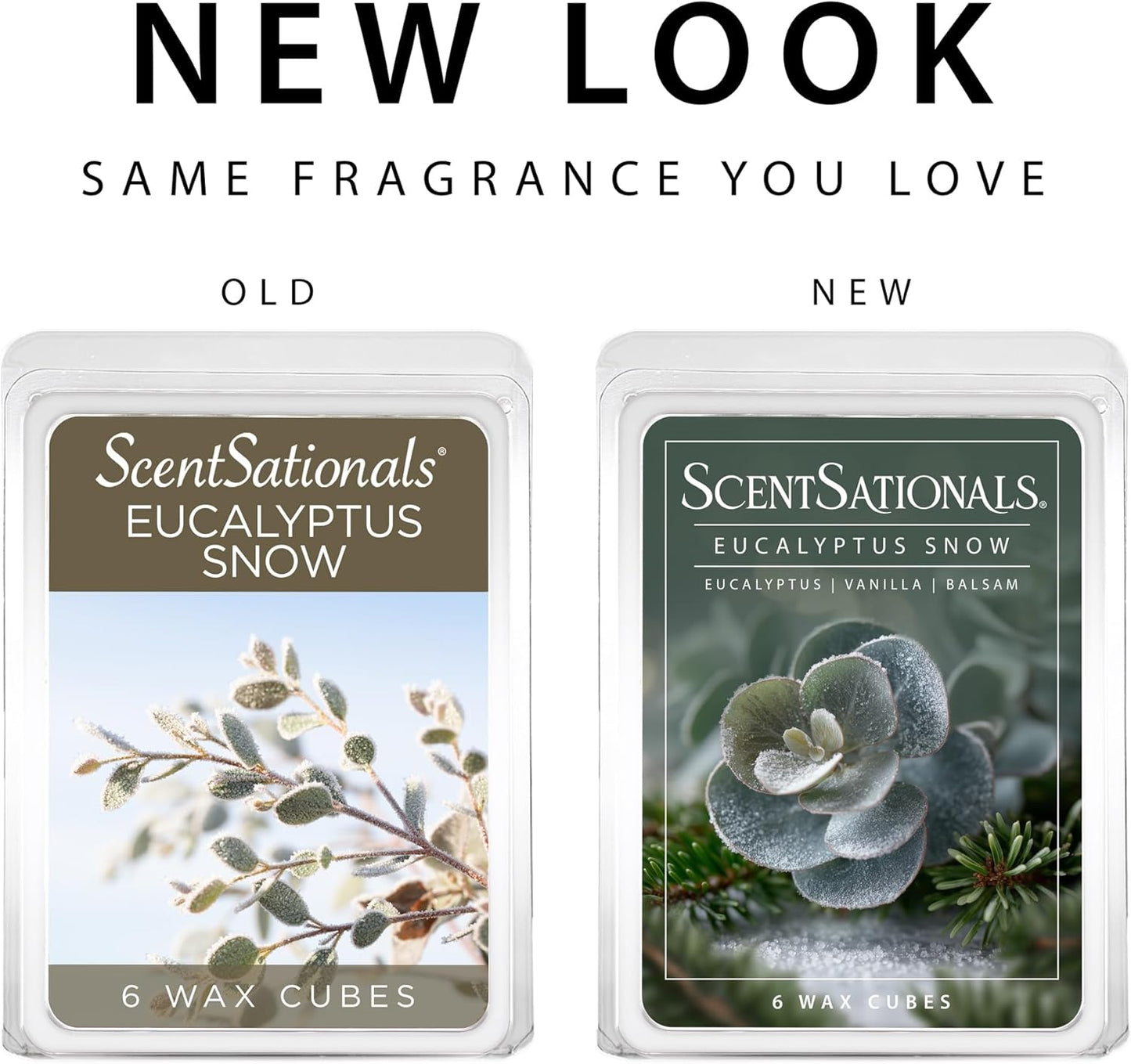 Scentsationals Eucalyptus Snow Scented Wax Melts - Eucalyptus, Vanilla, & Balsam, 10oz (24 Cubes)