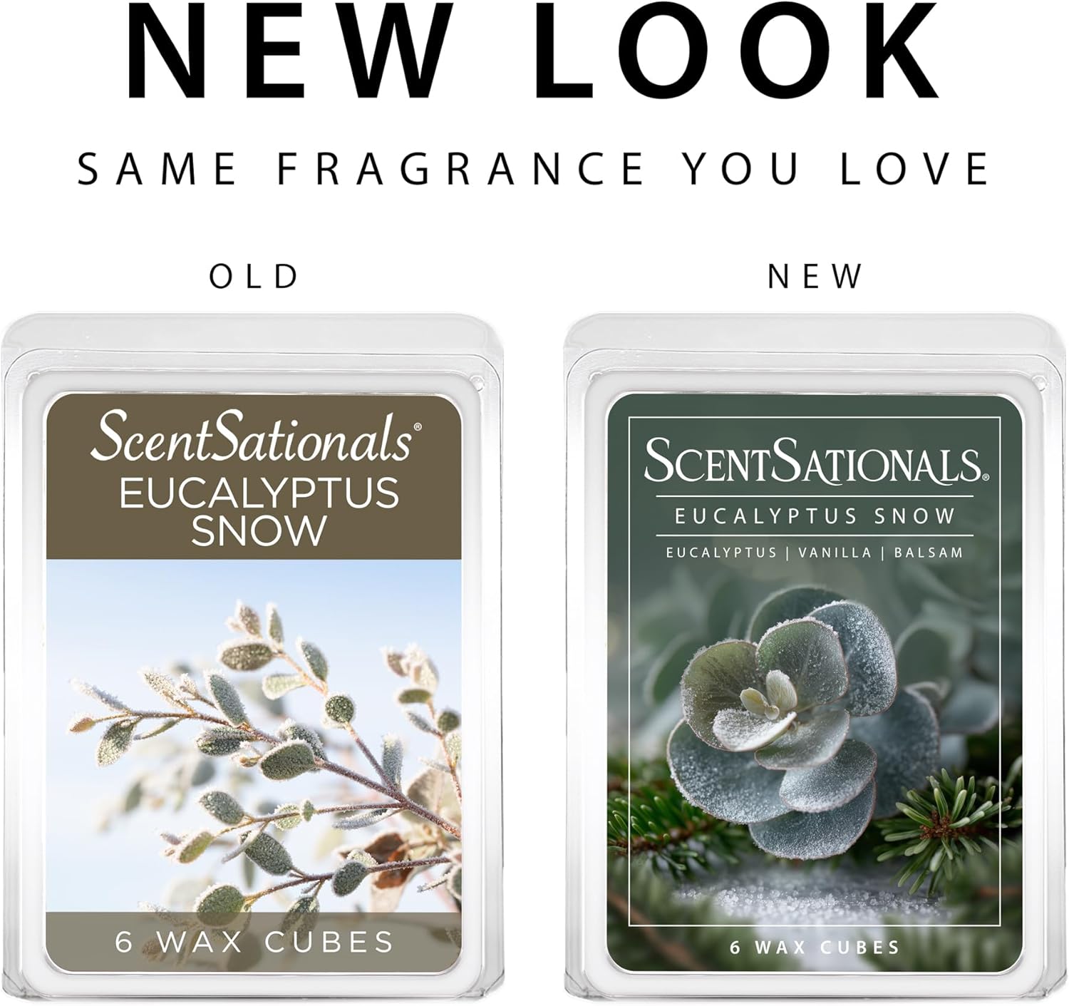 Scentsationals Eucalyptus Snow Scented Wax Melts - Eucalyptus, Vanilla, & Balsam, 10oz (24 Cubes)
