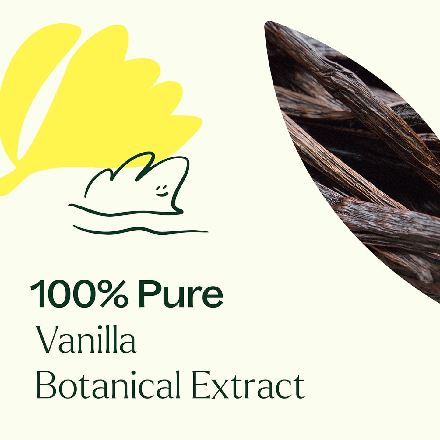Plant Therapy Vanilla Botanical Extract, 10 mL (1/3 oz), 100% Pure, Undiluted, Promotes Relaxation and Emotional Grounding with Sweet and Comforting Aroma