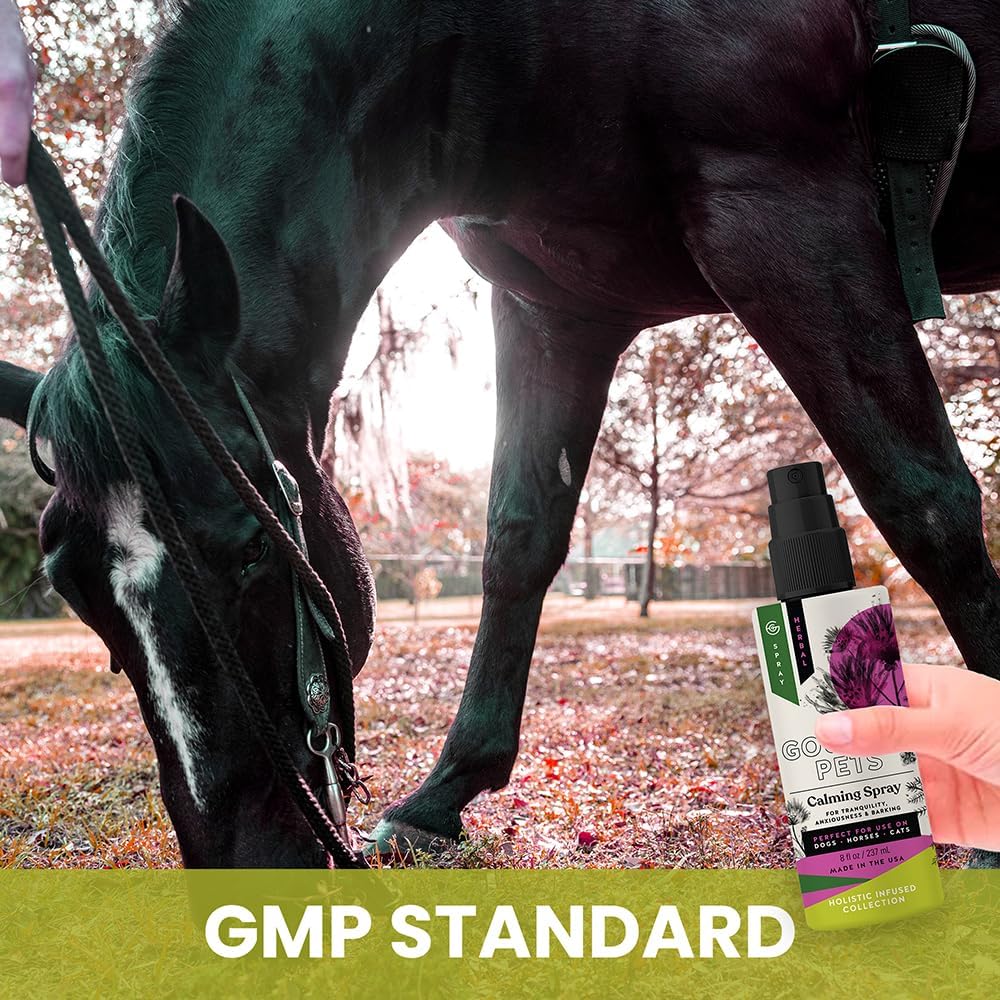 Holistic Natural Derived Calming Pet Spray for Anxiety: Providing Stress Relief: Veterinarian Recommended - Made in USA - 8 oz