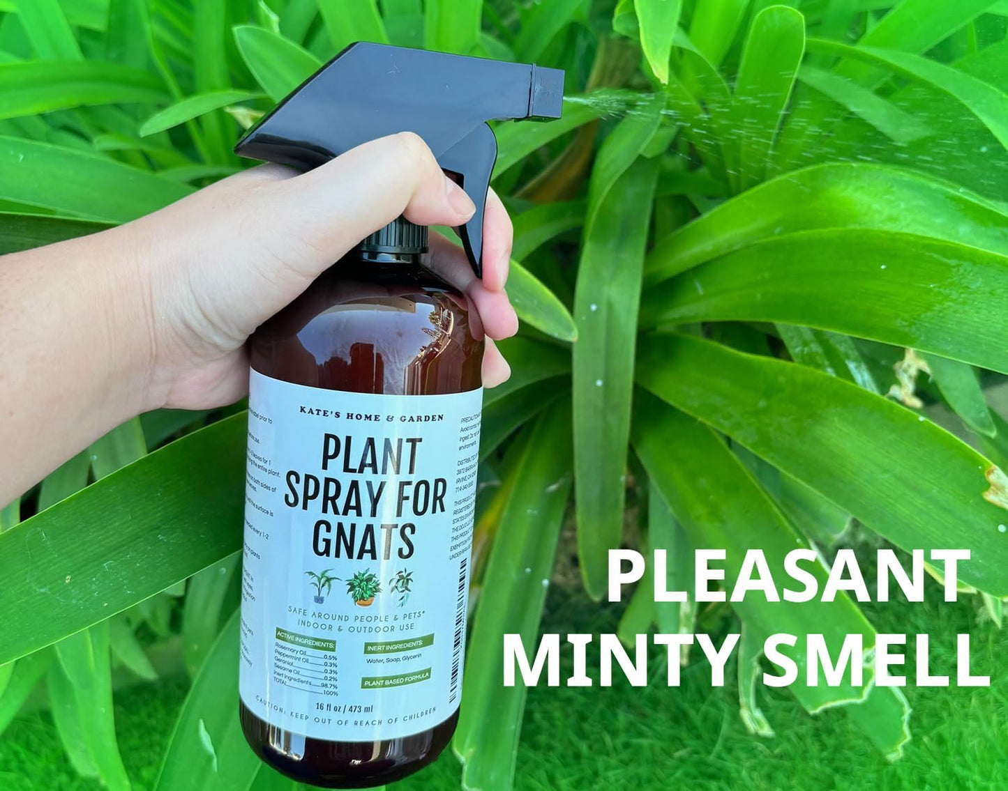 Kate's Home & Garden Plant Spray for Insects & Getting Rid of Gnats with 12 Sticky Traps. Fungus Gnat Killer & Bug Spray for Indoor Plants (16oz, Peppermint, Pet Safe, Non Toxic)