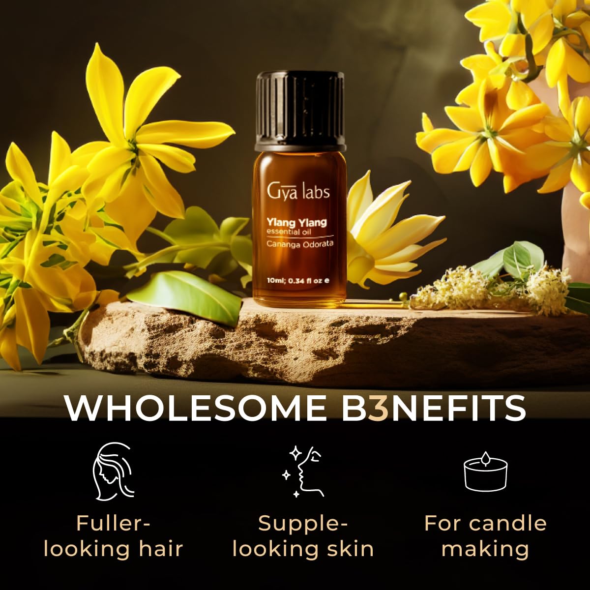 Gya Labs Jojoba Oil for Hair (100ml) & Ylang Ylang Essential Oil for Skin (10ml) Set - Aromatherapy Grade Essential Oils Set