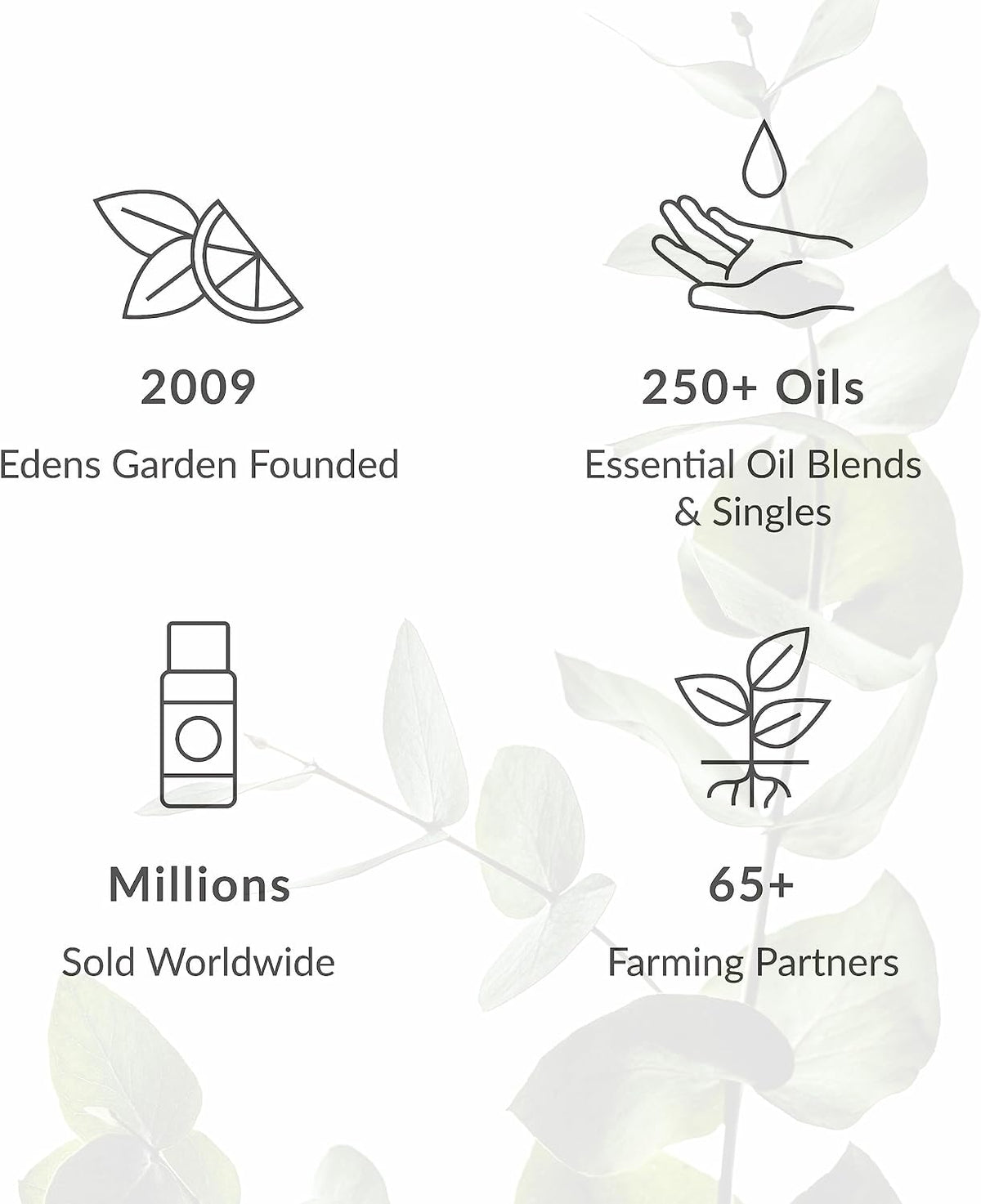 Edens Garden Eucalyptus- Globulus 100% Pure Essential Oil Roll-On 10 ml