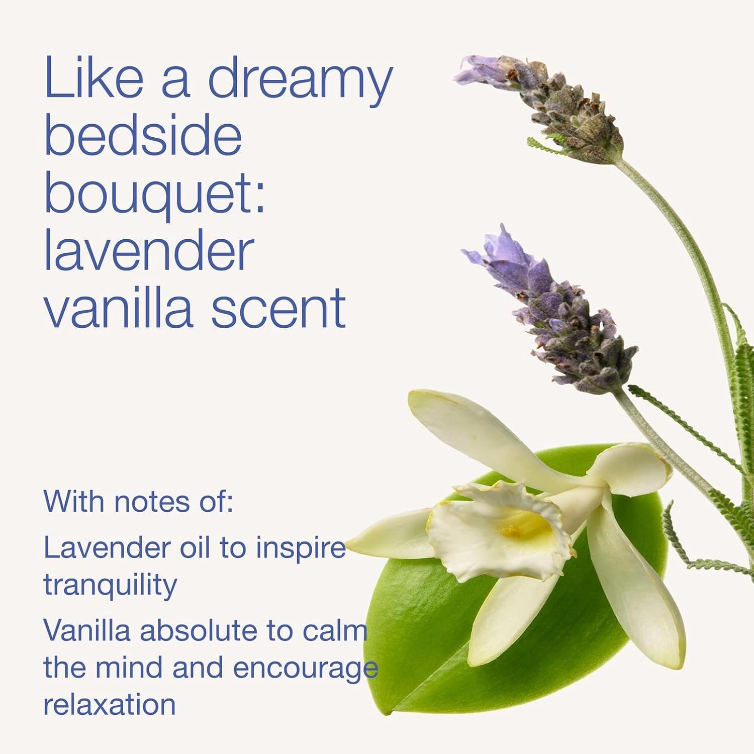 Bath & Body Works Lavender Vanilla Body Wash & Foam Bath, Aromatherapy Cleanser with Vitamin E & Aloe, Non-Drying & Gentle for Daily Use, 10 fl oz - 1 Pack