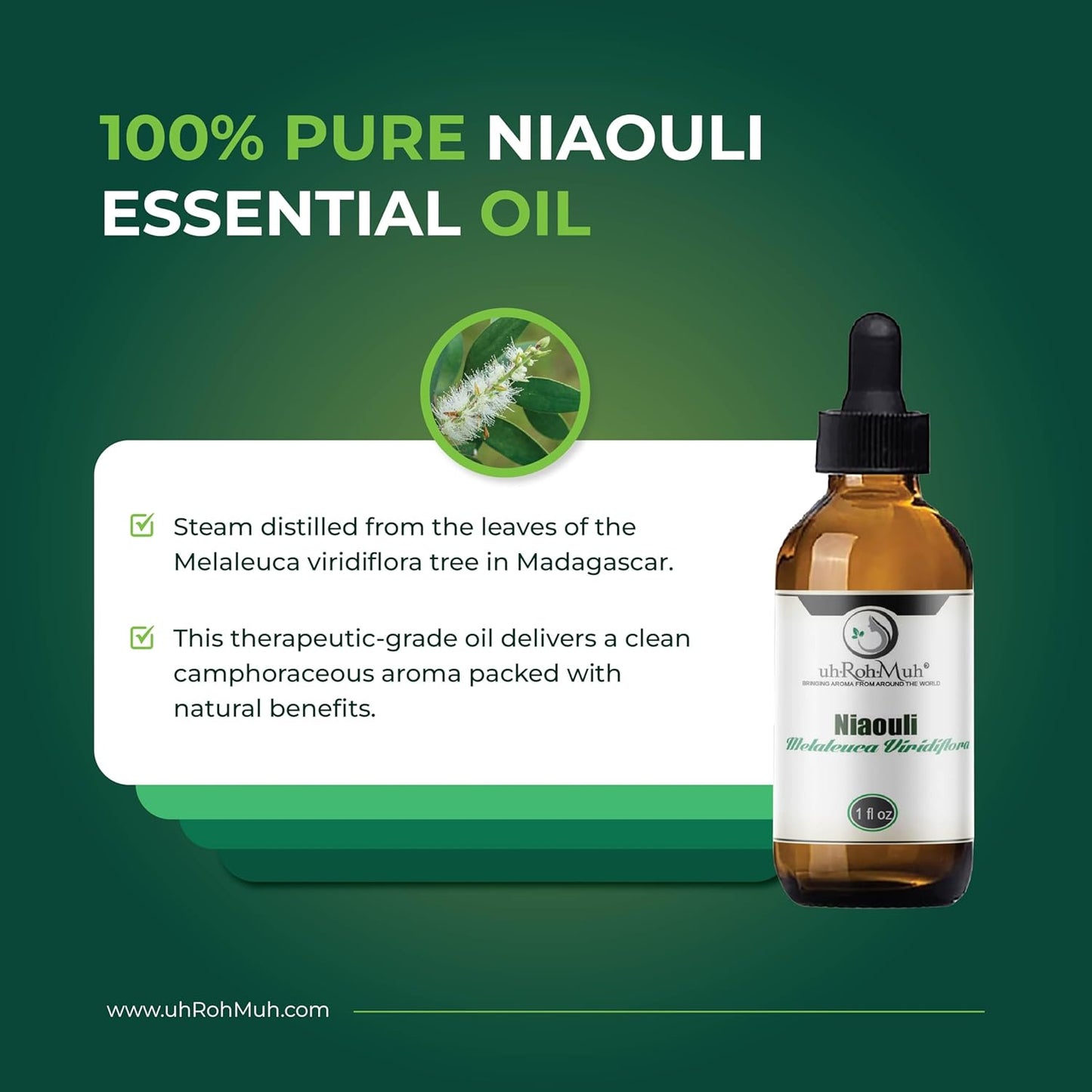Niaouli Essential Oil – 100% Pure & Natural, Steam Distilled from Melaleuca viridiflora Leaves | Fresh Camphoraceous Aroma for Respiratory Support, Skincare & Diffusion | from Madagascar | 1 Fl Oz
