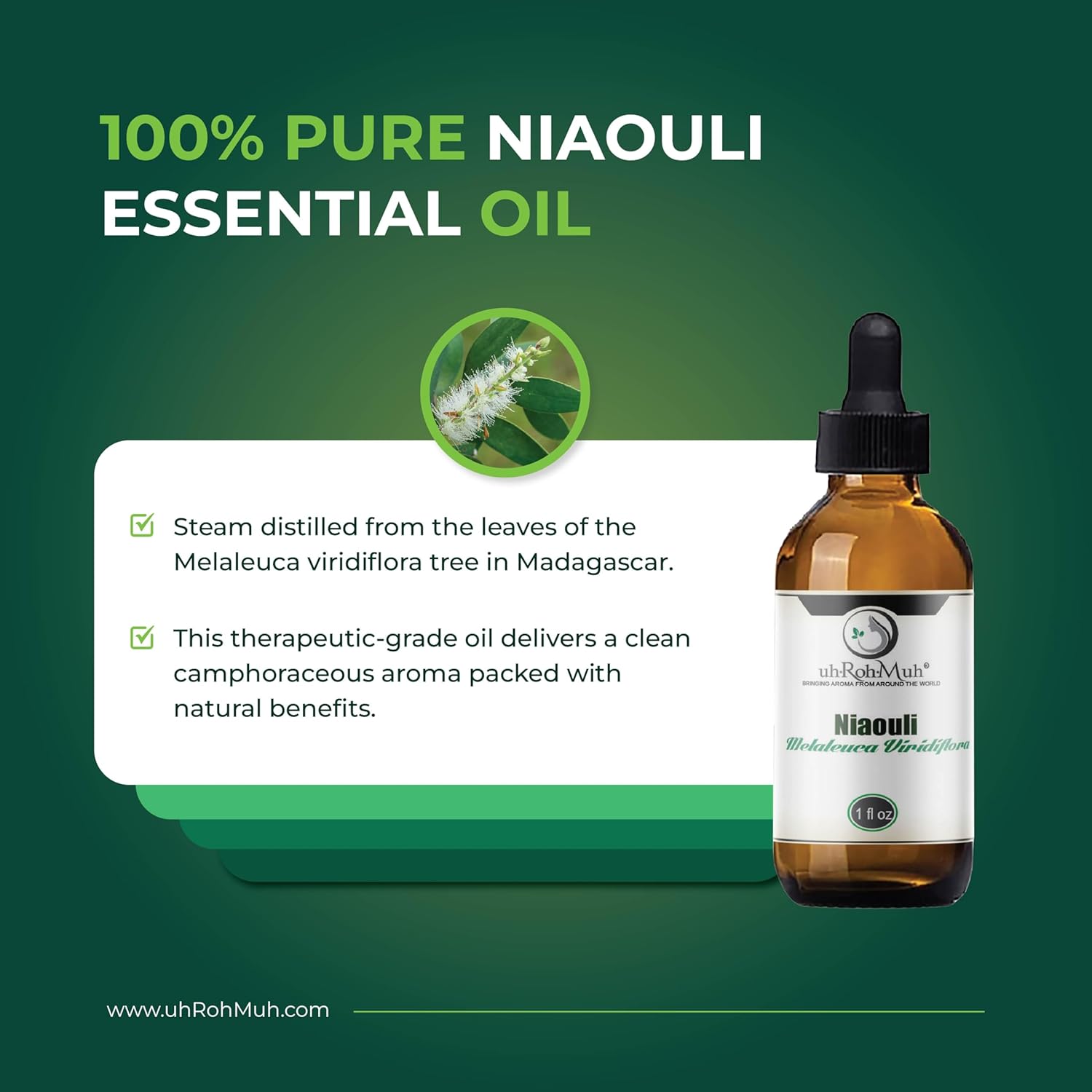 Niaouli Essential Oil – 100% Pure & Natural, Steam Distilled from Melaleuca viridiflora Leaves | Fresh Camphoraceous Aroma for Respiratory Support, Skincare & Diffusion | from Madagascar | 1 Fl Oz