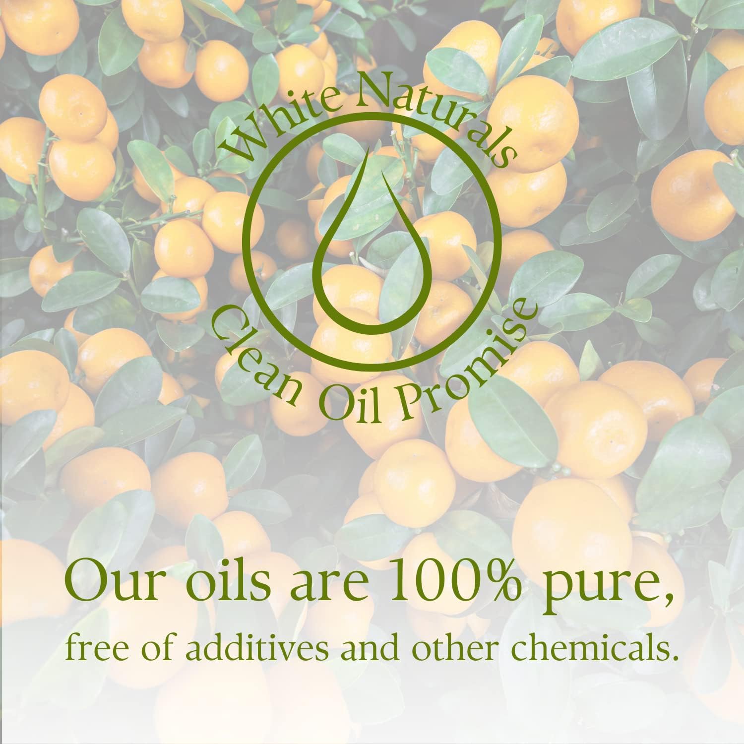 Mandarin Essential Oil, Aromatherapy Oil for Diffusers, 100% Pure, Natural, Undiluted, Therapeutic Grade Oil, Radiant Skin, Healthy Hair and Scalp, Exotic and citrusy Aroma