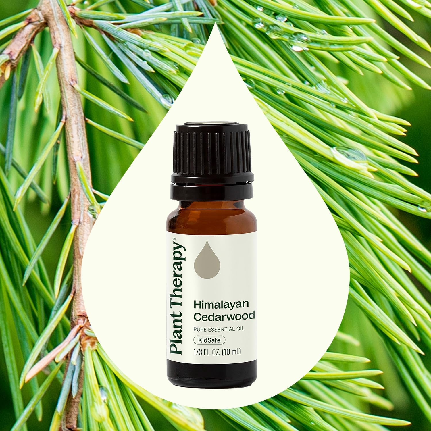 Plant Therapy Himalayan Cedarwood Essential Oil 10 mL (1/3 oz) 100% Pure, Undiluted, Refreshing Aromatherapy for Mental Focus and Clear
