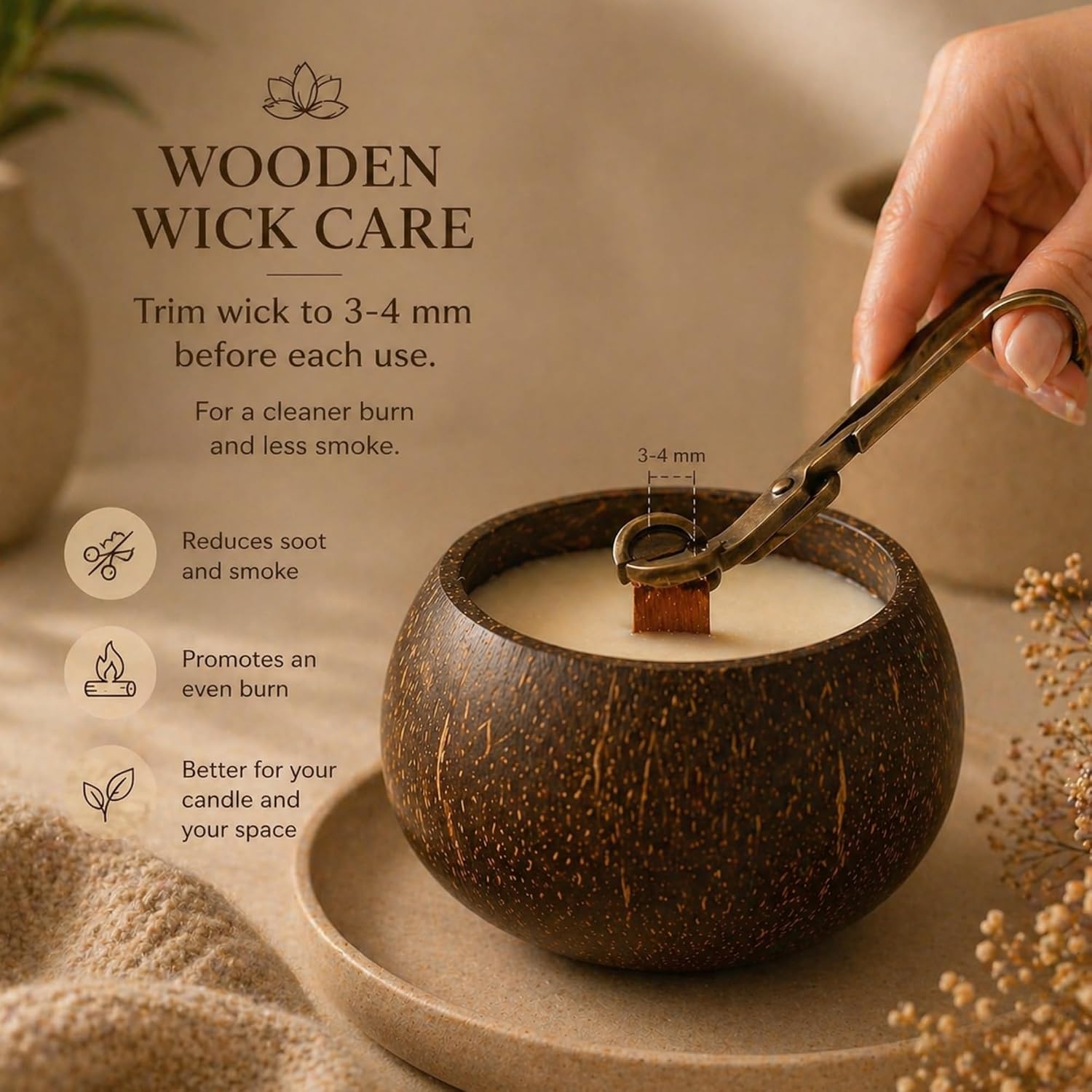 Coconut Soy Candle in Natural Coconut Bowl Wooden Wick – AURA by DG (Norway Forest)