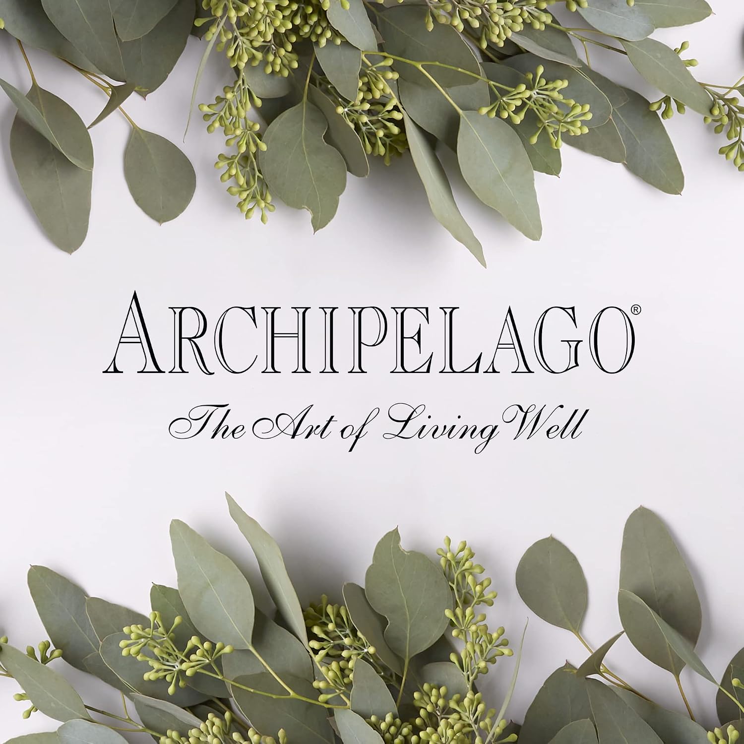 Archipelago Botanicals Luxury Milk Bubble Bath, Daily Body Wash, Moisturizing and Hydrating Gentle Bubble Bath, Helps Refresh, Restore and Soothe All Skin Types, 25.0 fl oz