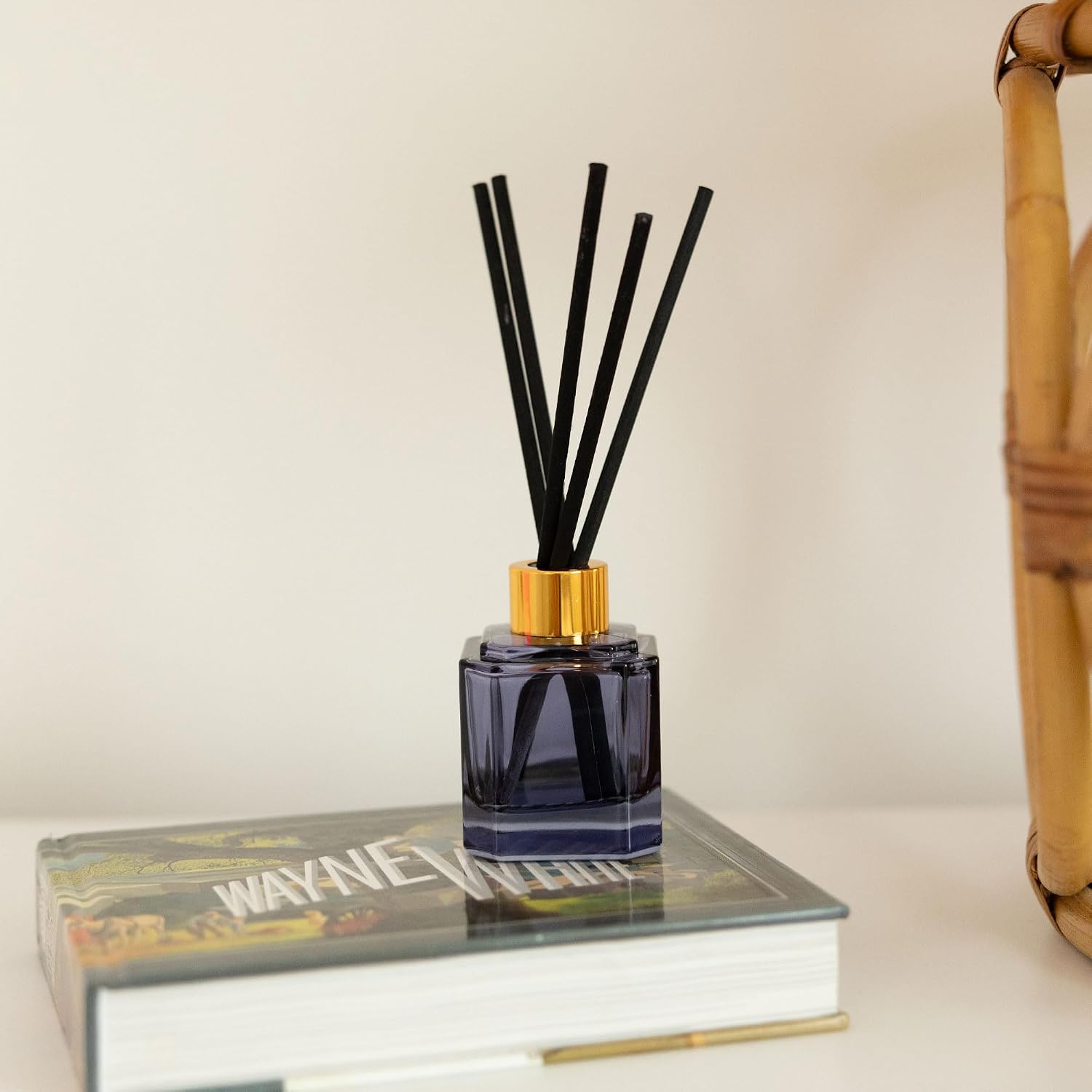 Paddywax Botanica Scented Oil Diffuser with Reeds in Reusable Blue Glass Bottle, Tubed Gift Box, Includes Diffuser Sticks, Long-Lasting Fragrance, Reusable & Upcyclable, Sea Salt & Amber, 2.8 fl oz