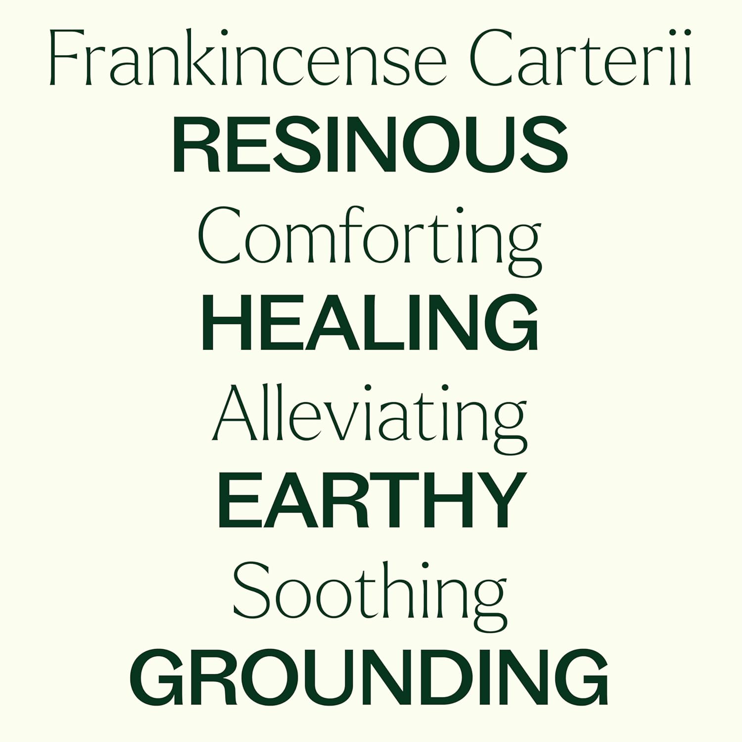 Plant Therapy Organic Frankincense Carterii Essential Oil 30 mL (1 oz) 100% Pure, USDA Certified Organic, Undiluted, Grounding Aromatherapy for Yoga and Meditation