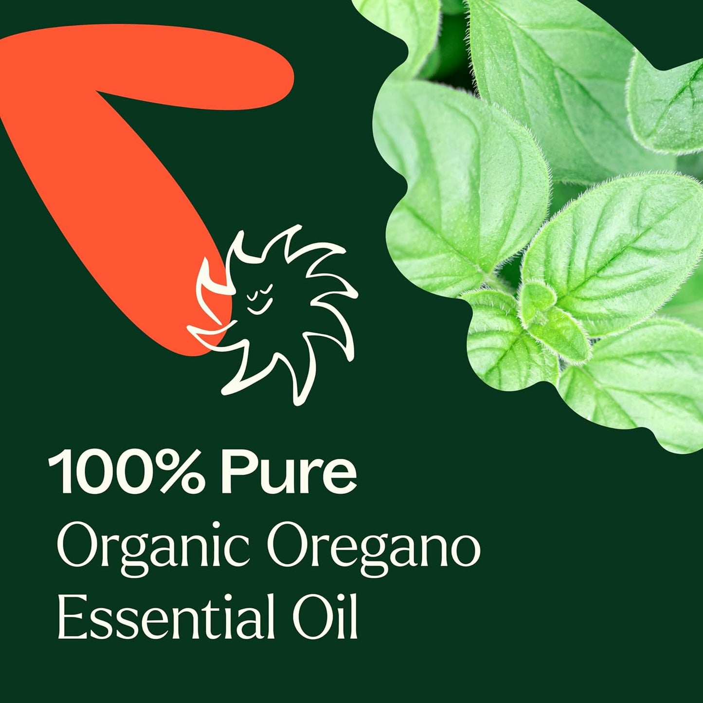 Plant Therapy Organic Oregano Essential Oil, 10 mL (1/3 oz), 100% Pure and Undiluted, USDA Certified Organic, Great for Diffusing and Relaxing Tight Muscles