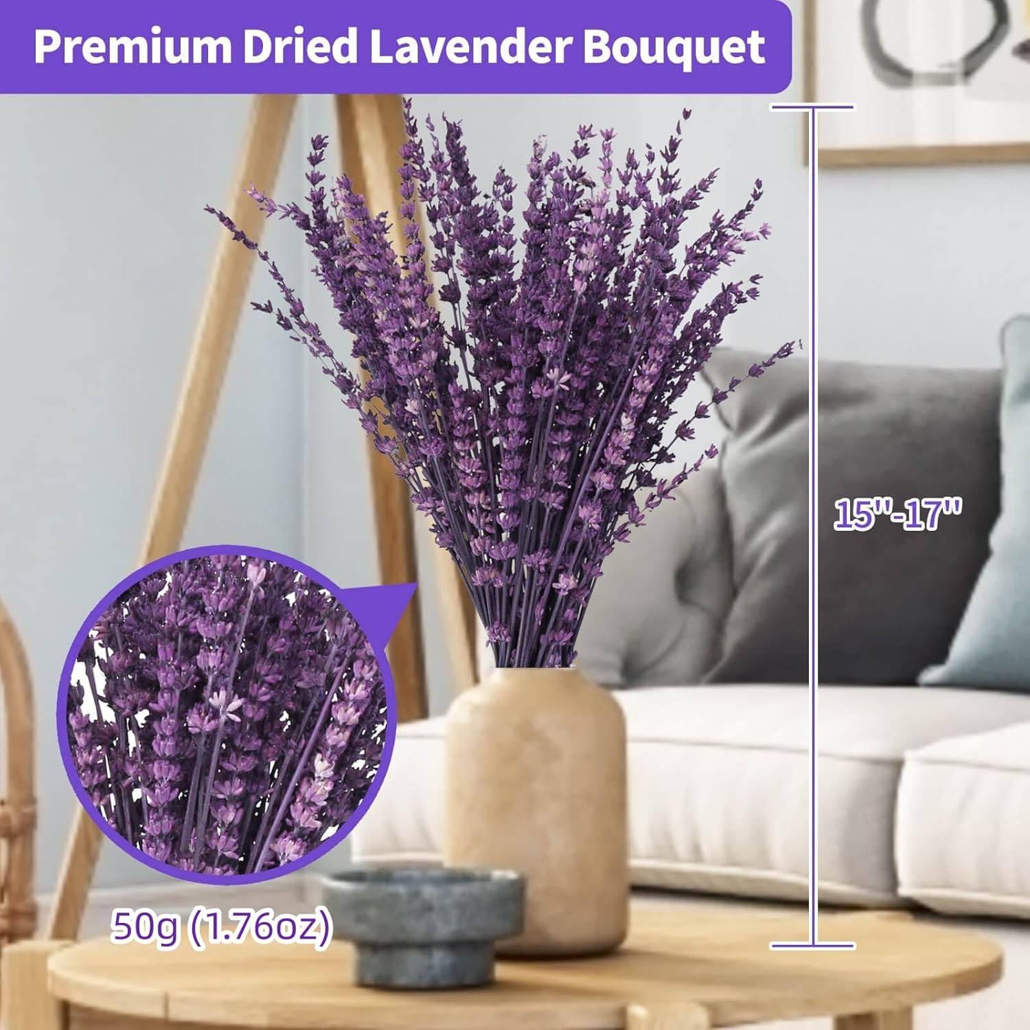 Dried Lavender Flowers, Preserved Lavender Bouquet 15-17 Inches, Purple Lavender Bundle for Shower, Home Decor, Vase Filler, Wedding Decorations, Aromatherapy, DIY Crafts, 50g(1.76oz)