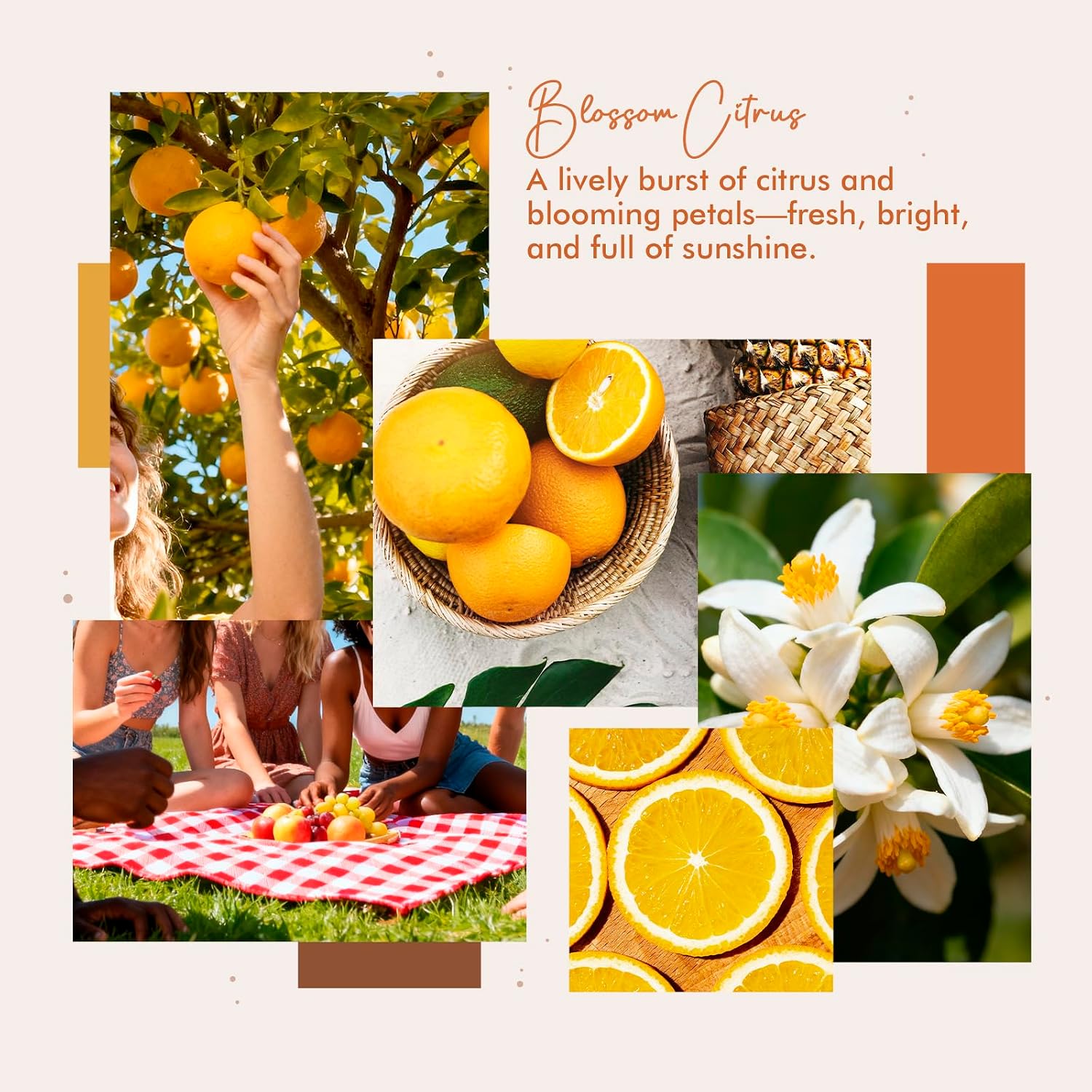 Room Spray, Blossom Citrus, 4 fl oz, Air Freshener for Home, Long-Lasting Odor Eliminator for Bathroom and Office
