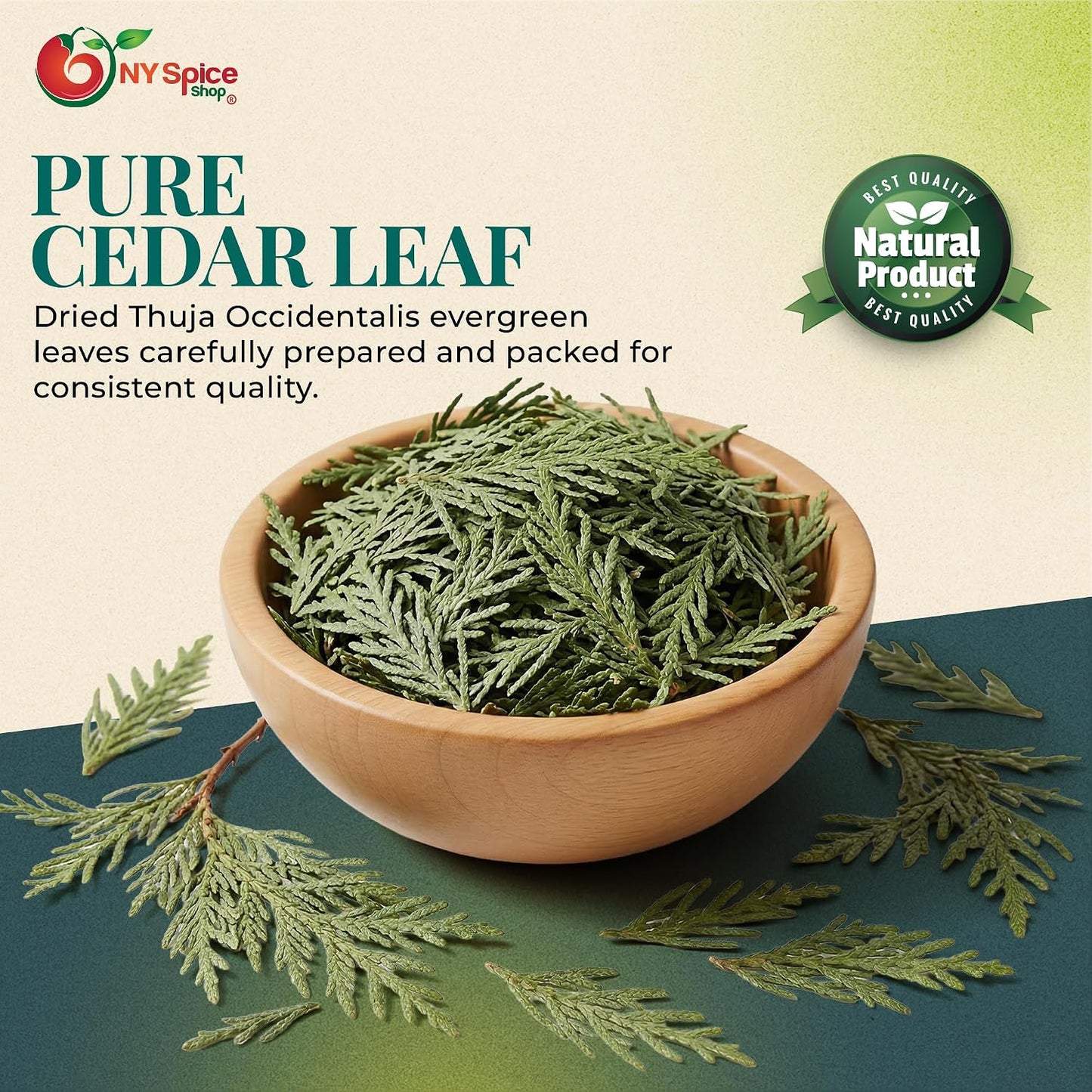 NY Spice Shop Natural Cedar Leaf Whole - 2 Ounce Evergreen Leaves - Raw Aromatic Botanical - Thuja occidentalis - Cut & Dried Herb - Bulk Herbal Ingredient for Crafting Incense or Potpourri