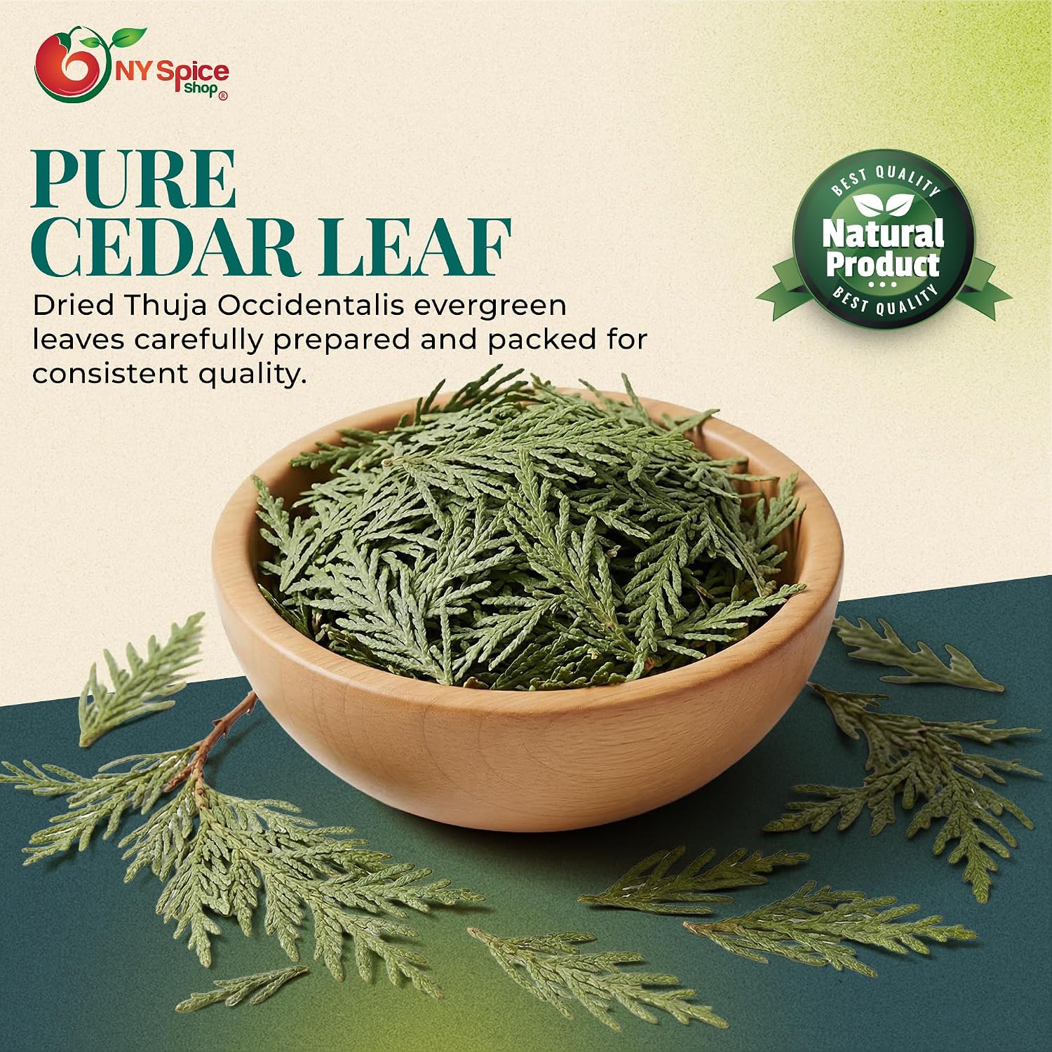 NY Spice Shop Natural Cedar Leaf Whole - 2 Ounce Evergreen Leaves - Raw Aromatic Botanical - Thuja occidentalis - Cut & Dried Herb - Bulk Herbal Ingredient for Crafting Incense or Potpourri
