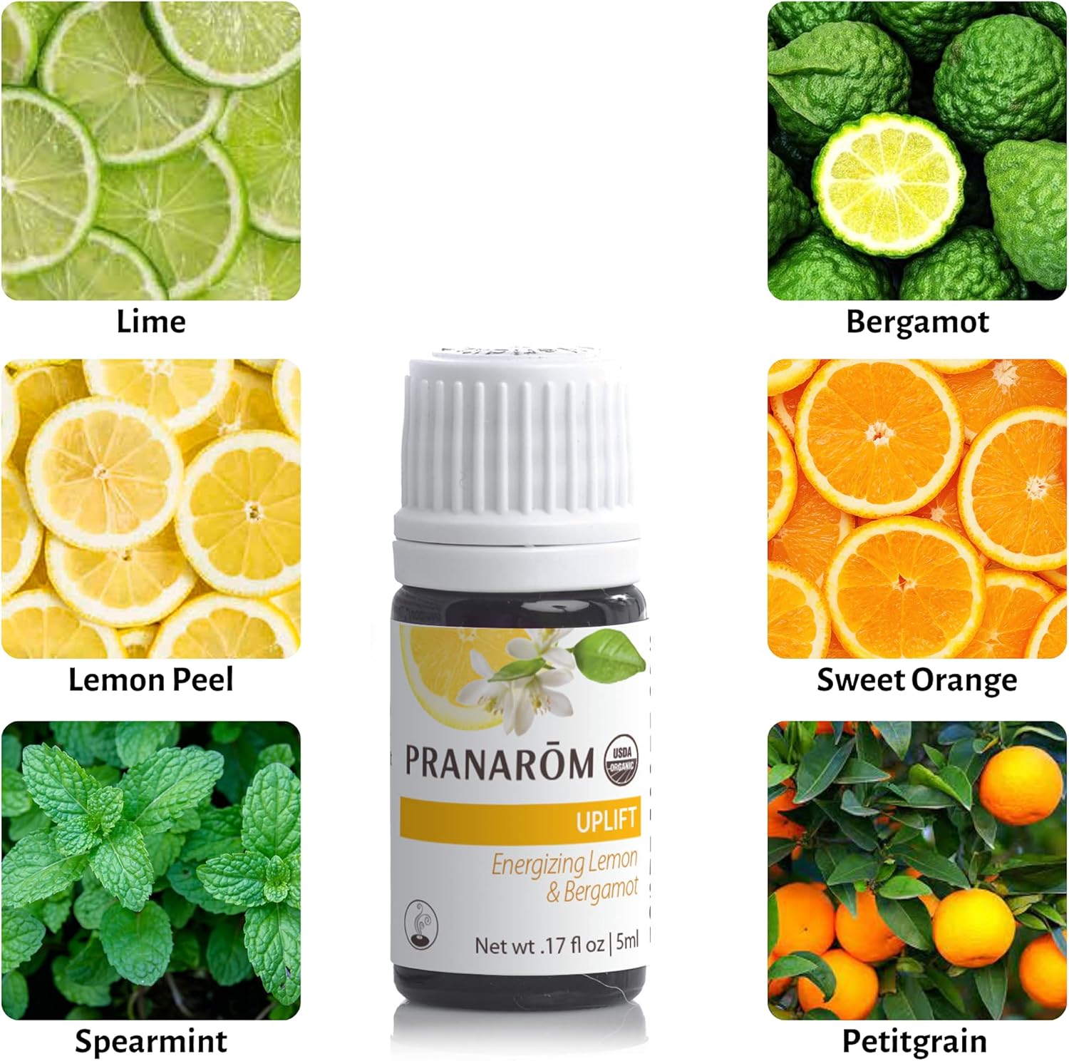 Pranarom - Uplift Essential Oil Blend (5ml) - Mandarin, Sweet Orange, Ylang Ylang, Patchouli, Blue Tansy - 100% Pure Essential Oil for Energy and Positivity | USDA and ECOCERT Certified Organic