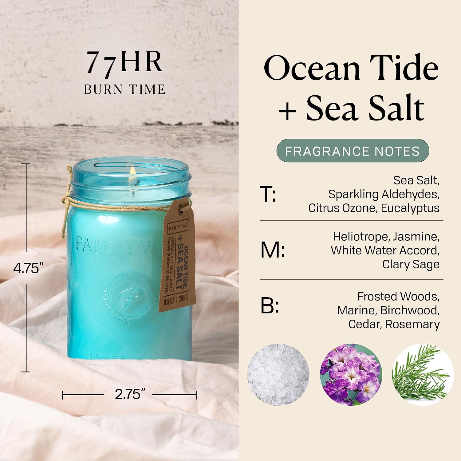 Paddywax Scented Candles Relish Collection Soy Wax Artisan Candle in Glass Jar with Lid, 9.5-Ounce, Ocean Tide + Sea Salt