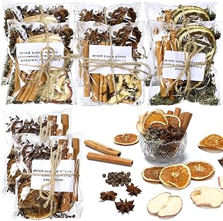 Siifert 8 Pcs Christmas Stovetop Potpourri Xmas Simmer Pot Kit Dried Orange Apple Piece Potpourri Bag Simmer Pot Room Air Freshener Sachet Botanical Bowl Filler Gift Xmas Holiday Decor (Classic)