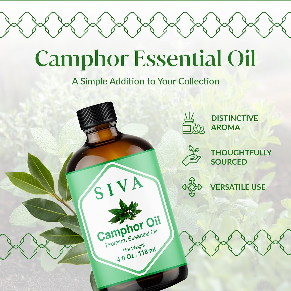 Siva Camphor Essential Oil