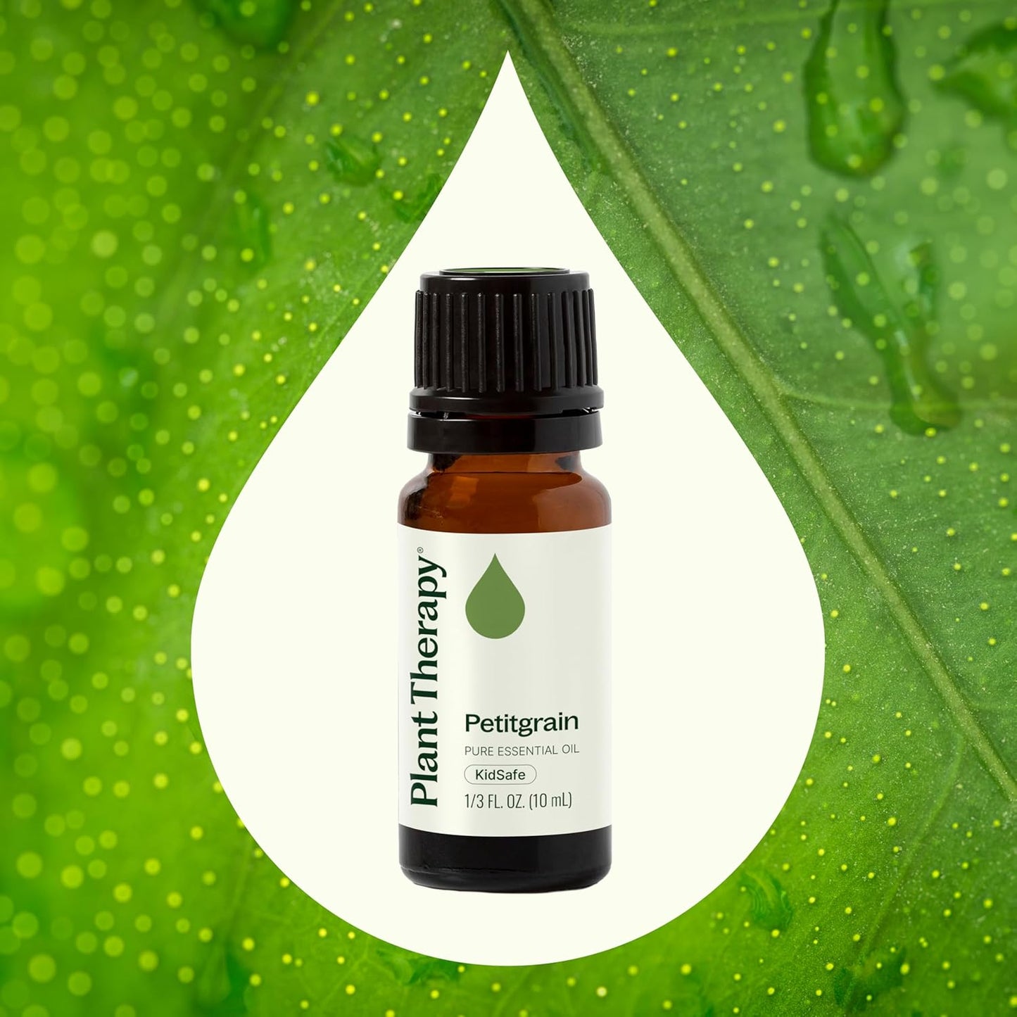 Plant Therapy Petitgrain Essential Oil 10 mL (1/3 oz) 100% Pure, Undiluted, Aromatherapy for Stress Relief, Digestive Support, and Skin Care