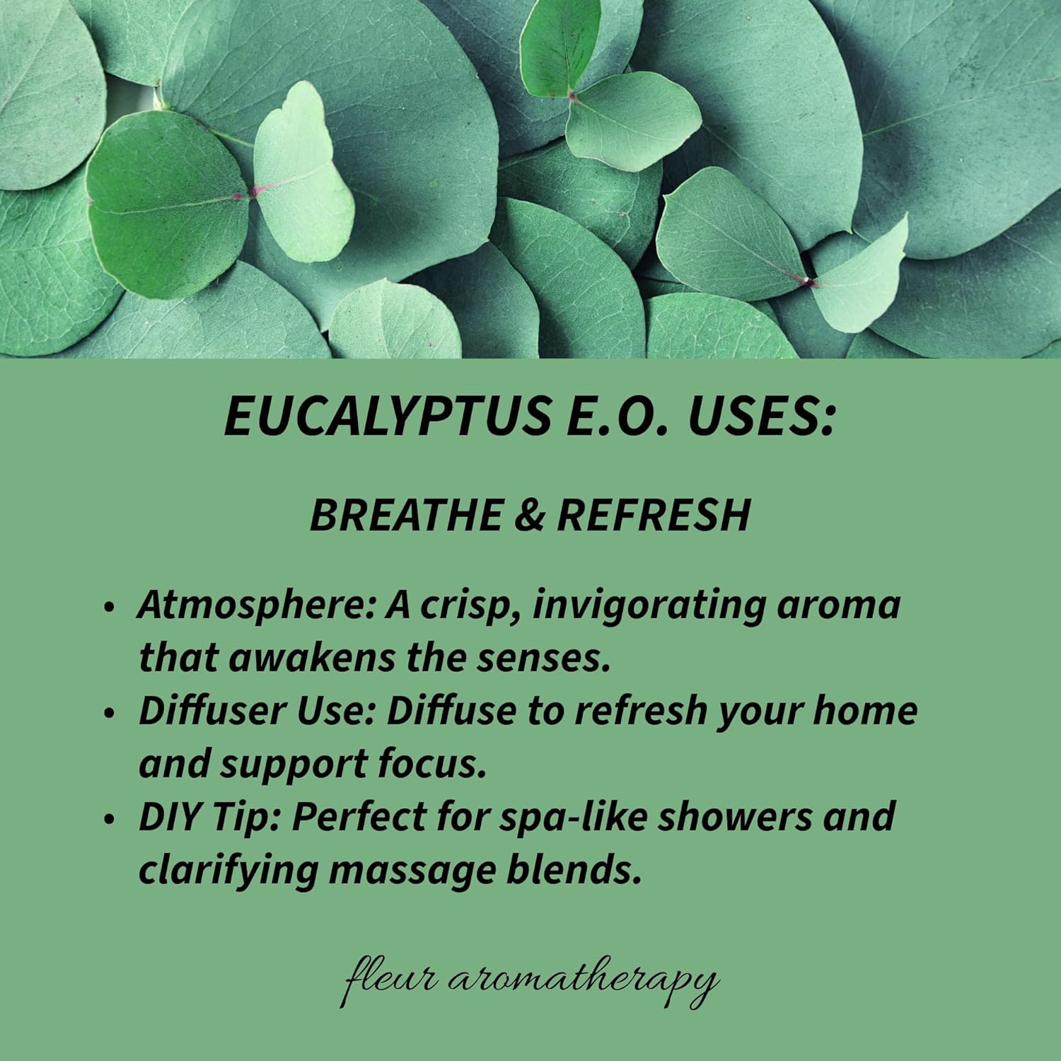 Eucalyptus Essential Oil 10ml – 100% Pure Eucalyptus globulus – Steam Distilled – GC/MS Tested – Clarifying & Fresh Aroma – Professional Clinical Aromatherapy Quality – Fleur Aromatherapy