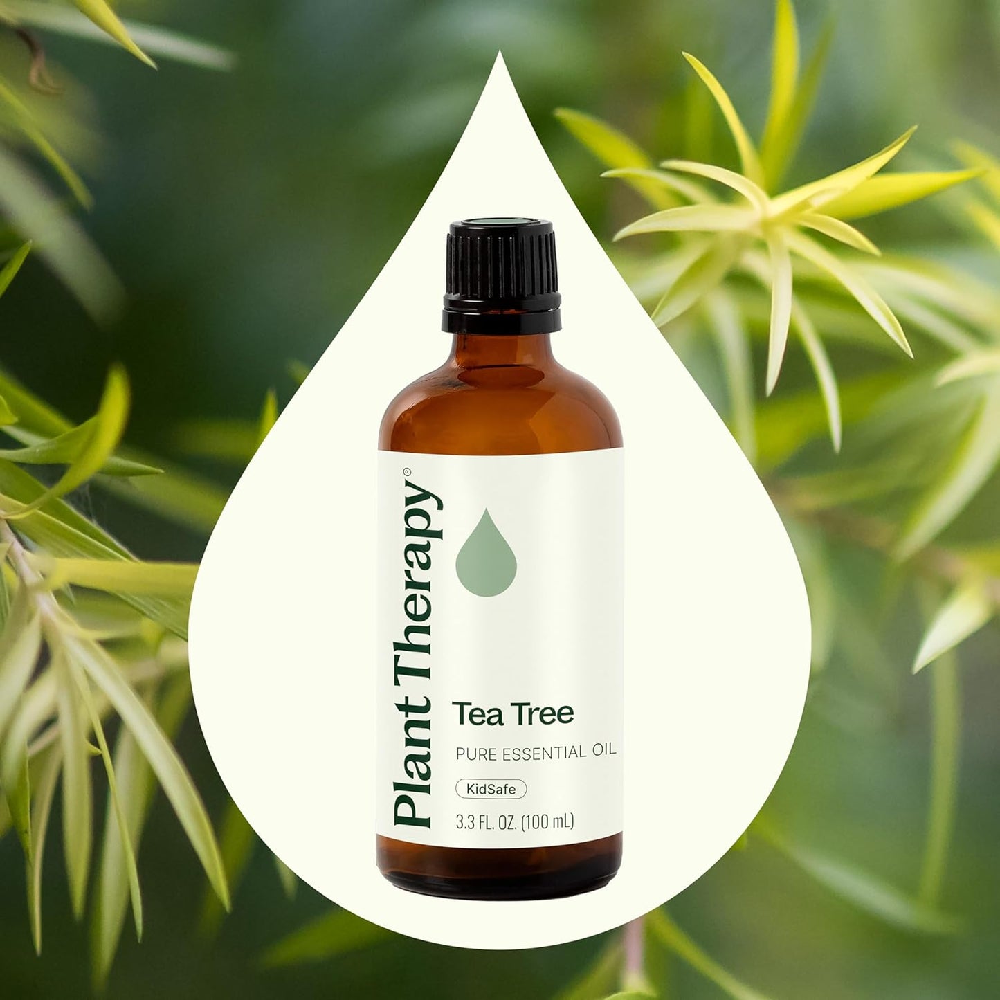 Plant Therapy Tea Tree Essential Oil, 100 mL (3.3 oz), Melaleuca alternifolia, 100% Pure and Undiluted, Natural Aromatherapy for Skin, Hair & Home