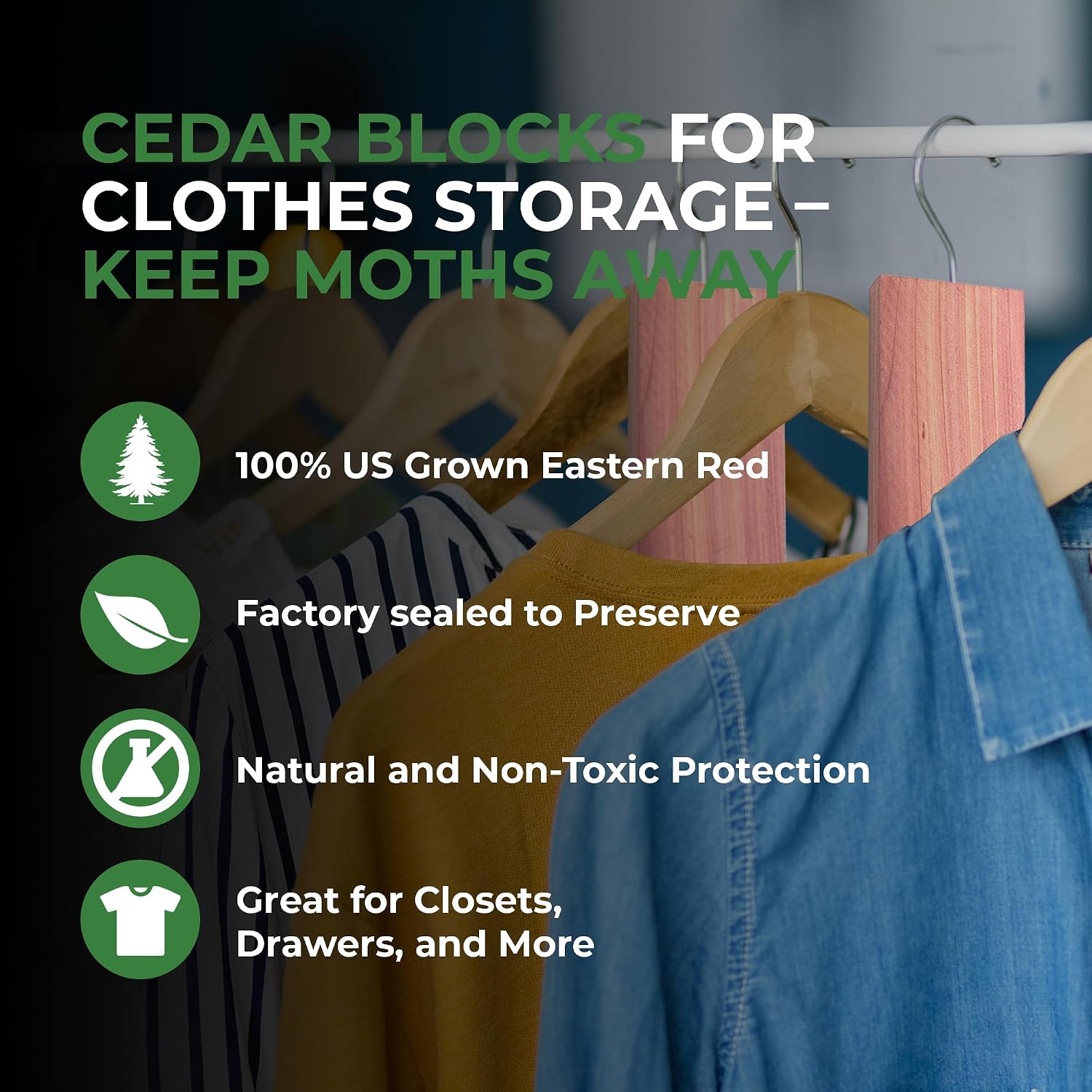 Cedar Blocks for Clothes Storage – Stop Clothes Damage - 10 Fresh Cedar Planks and Hangers to Protect Your Clothes