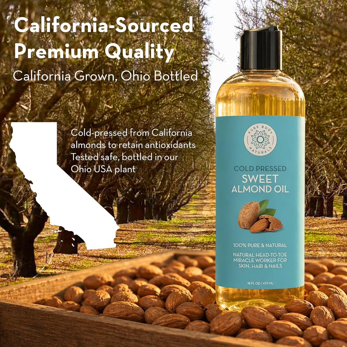 Pure Body Naturals Sweet Almond Oil for Skin and Hair, Cold Pressed Almond Oil, Almond Body Oil, Sweet Almond Carrier Oil, Fast Absorbing Moisturizer, 16 fl oz