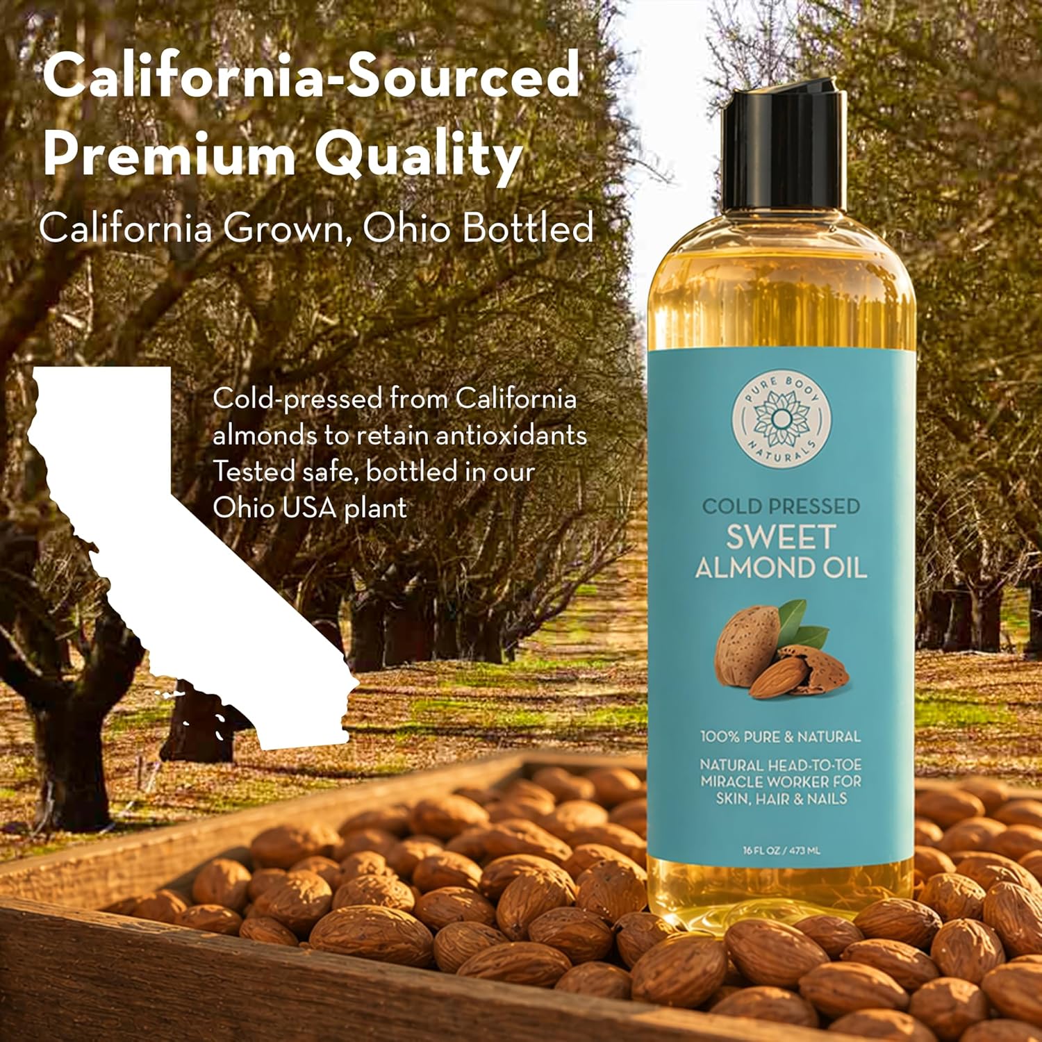 Pure Body Naturals Sweet Almond Oil for Skin and Hair, Cold Pressed Almond Oil, Almond Body Oil, Sweet Almond Carrier Oil, Fast Absorbing Moisturizer, 16 fl oz