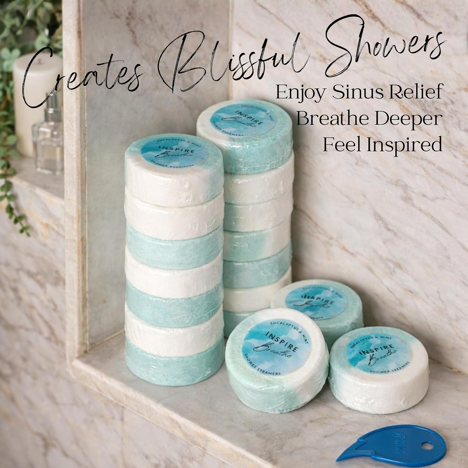 EvolutionUSA Inspire Breathe Shower Steamers – 15 Mint & Eucalyptus Shower Steamers for Women & Men, Vapor Shower Tablets, Self Care Shower Bombs, Luxury Gift for Christmas or Birthday, Spa Gift