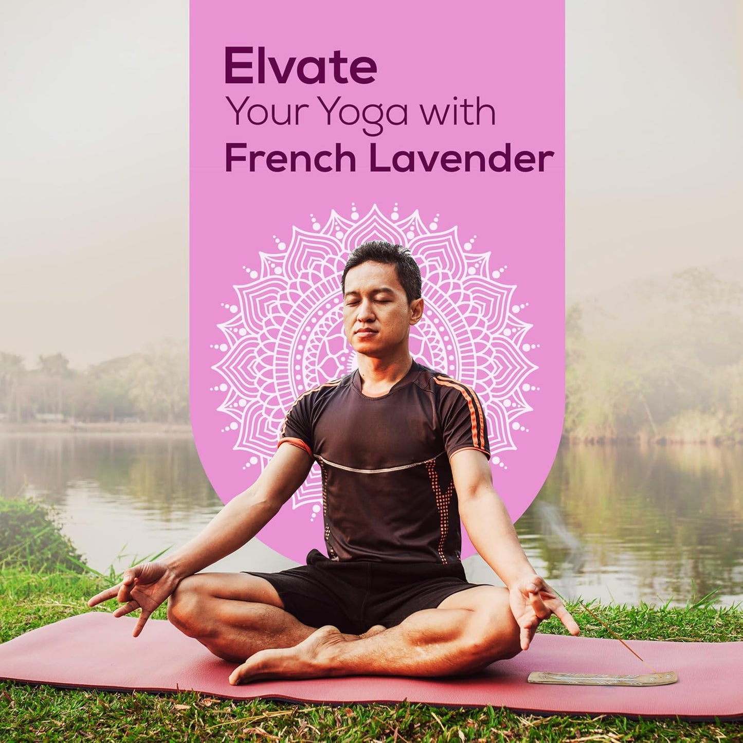 Satya French Lavender Incense Sticks 180 gm (15GM X 12 Pack) from Satya Sai Baba Nag Champa and Raajsee Incense Sticks Holder Bundle, Free from Chemicals,Natural Insenses