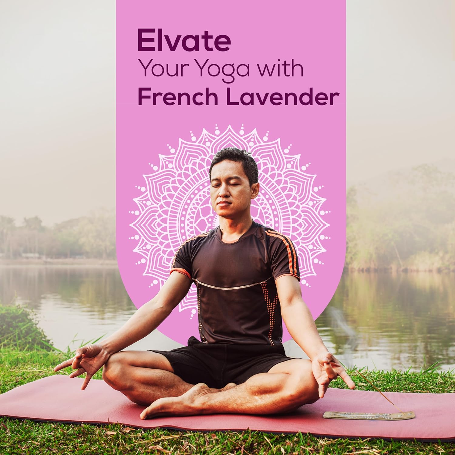 Satya French Lavender Incense Sticks 180 gm (15GM X 12 Pack) from Satya Sai Baba Nag Champa and Raajsee Incense Sticks Holder Bundle, Free from Chemicals,Natural Insenses