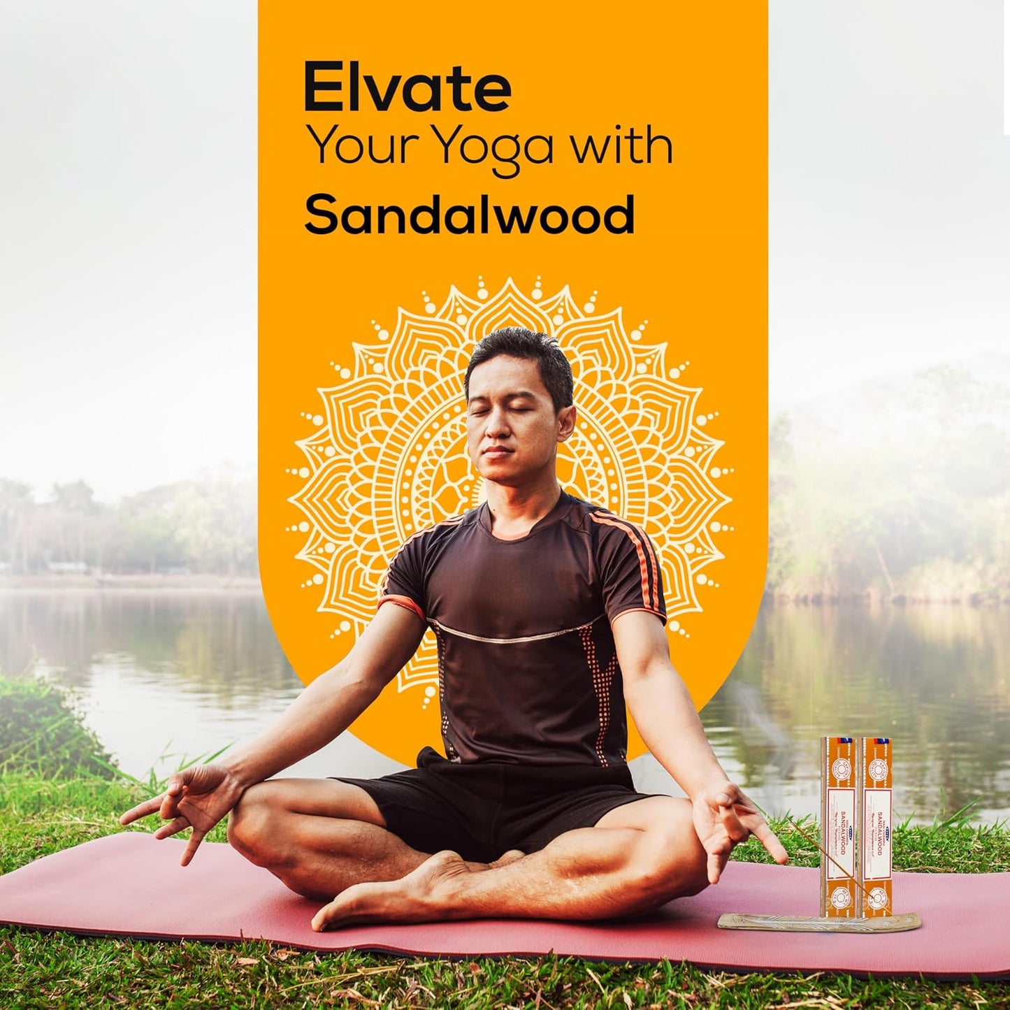 Satya Sandalwood Incense Sticks 180 gm (15GM X 12 Pack) from Satya Sai Baba Nag Champa and Raajsee Incense Sticks Holder Bundle, Free from Chemicals,Natural Insenses