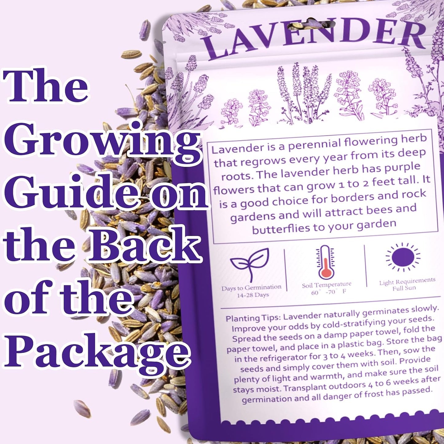 Dwarf Lavender Seeds for Planting Outdoors, 2000pcs Perennial English Lavender Flower Herbs Seeds Plants, Non-GMO Heirloom Hummingbirds Open Pollinated Wildflowers for Home Garden Indoors
