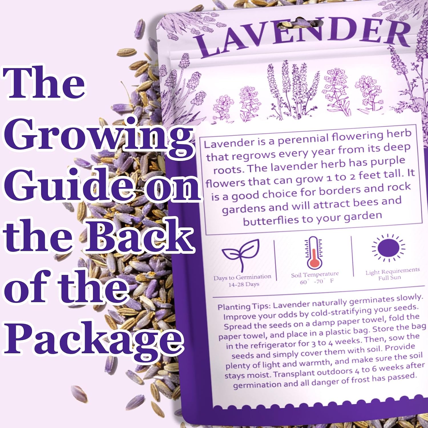 Dwarf Lavender Seeds for Planting Outdoors, 2000pcs Perennial English Lavender Flower Herbs Seeds Plants, Non-GMO Heirloom Hummingbirds Open Pollinated Wildflowers for Home Garden Indoors