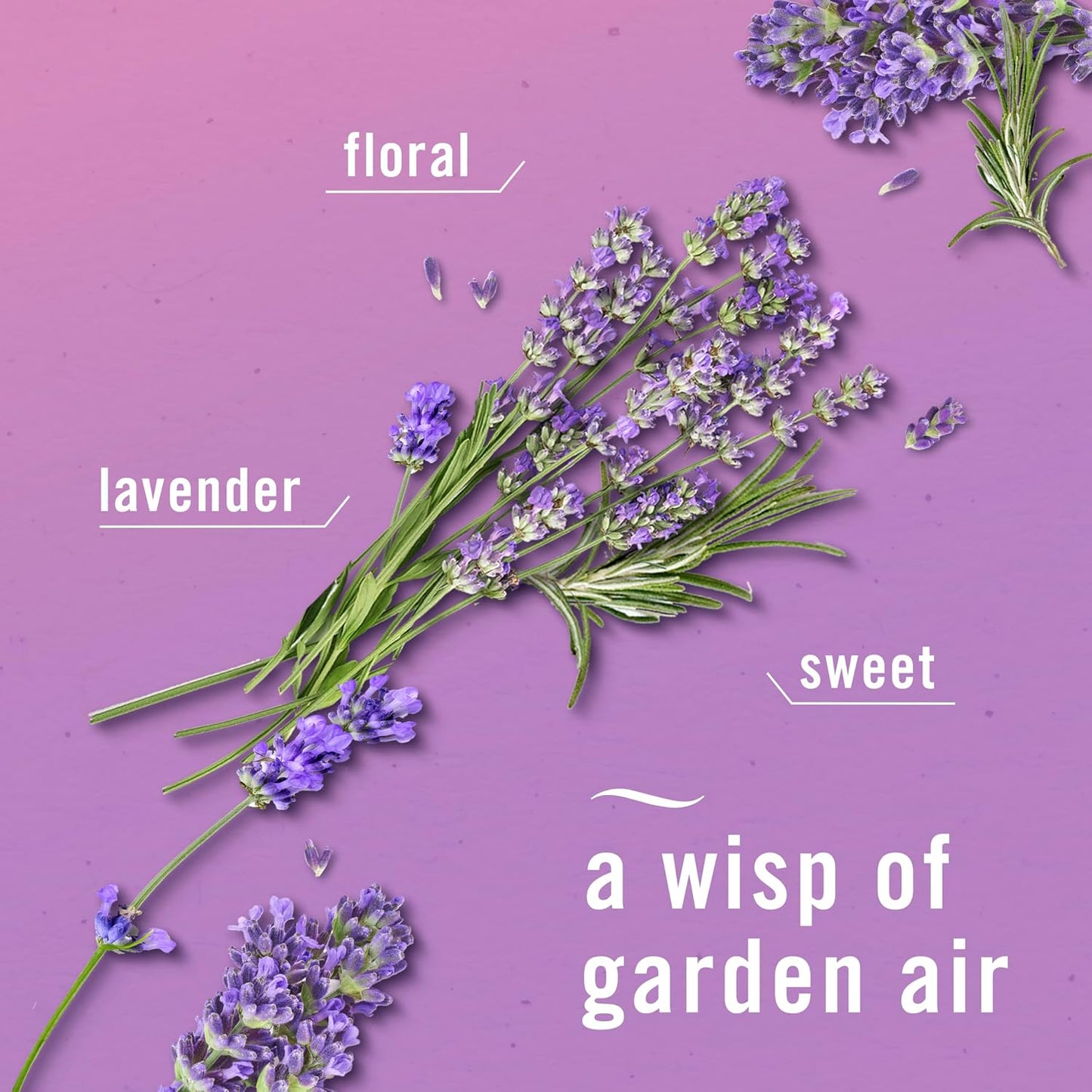 Febreze Air Mist, Air Freshener Spray, Odor Fighting Room Spray, Deodorizer for Home Bathroom Kitchen Office Apartment Dorm Room Classroom, Twilight Lavender, 8.1oz, 1ct