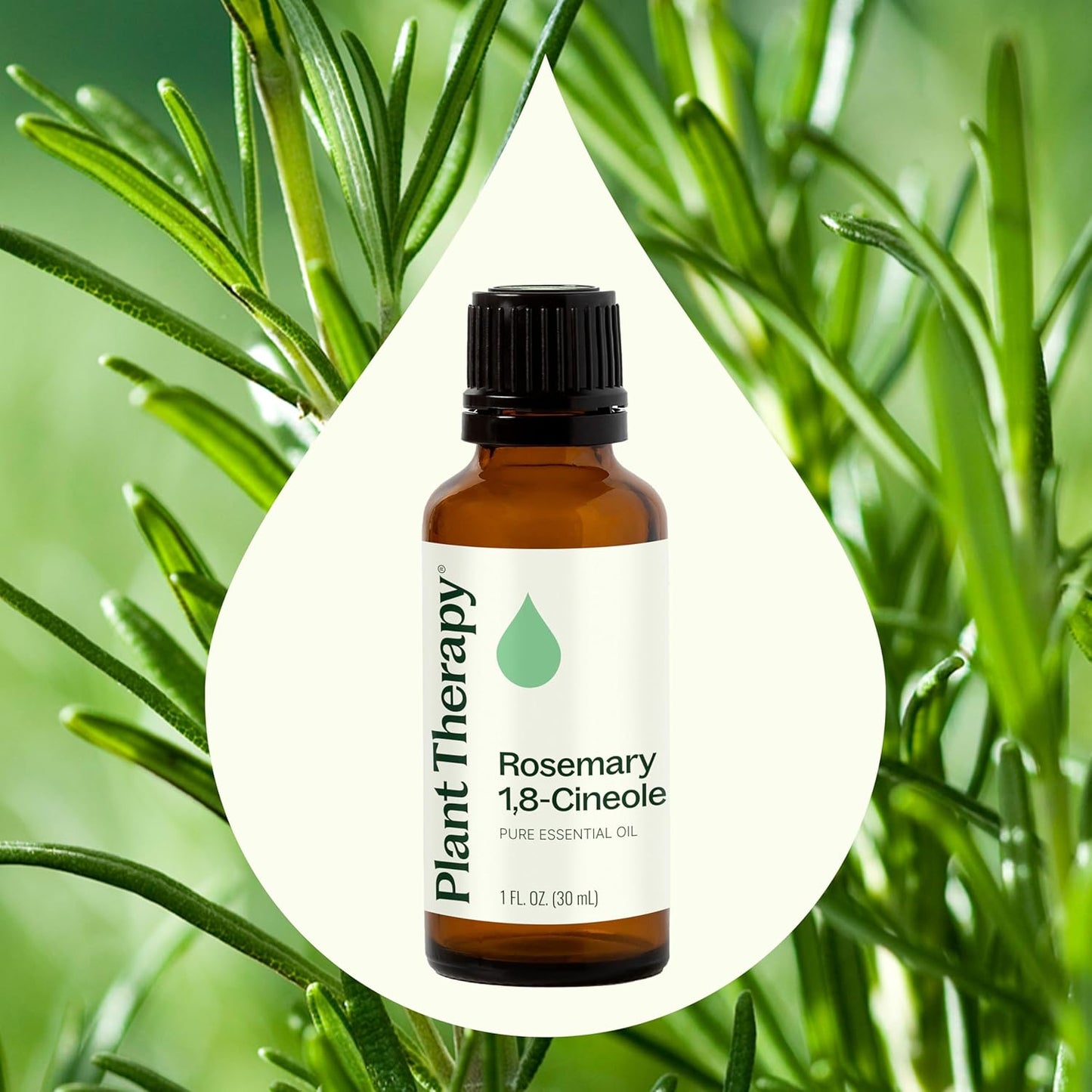 Plant Therapy Rosemary Essential Oil for Hair Growth, 30 mL (1 oz), 100% Pure and Undiluted, Natural Aromatherapy for Diffuser & Rosemary Oil for Hair & Scalp Health