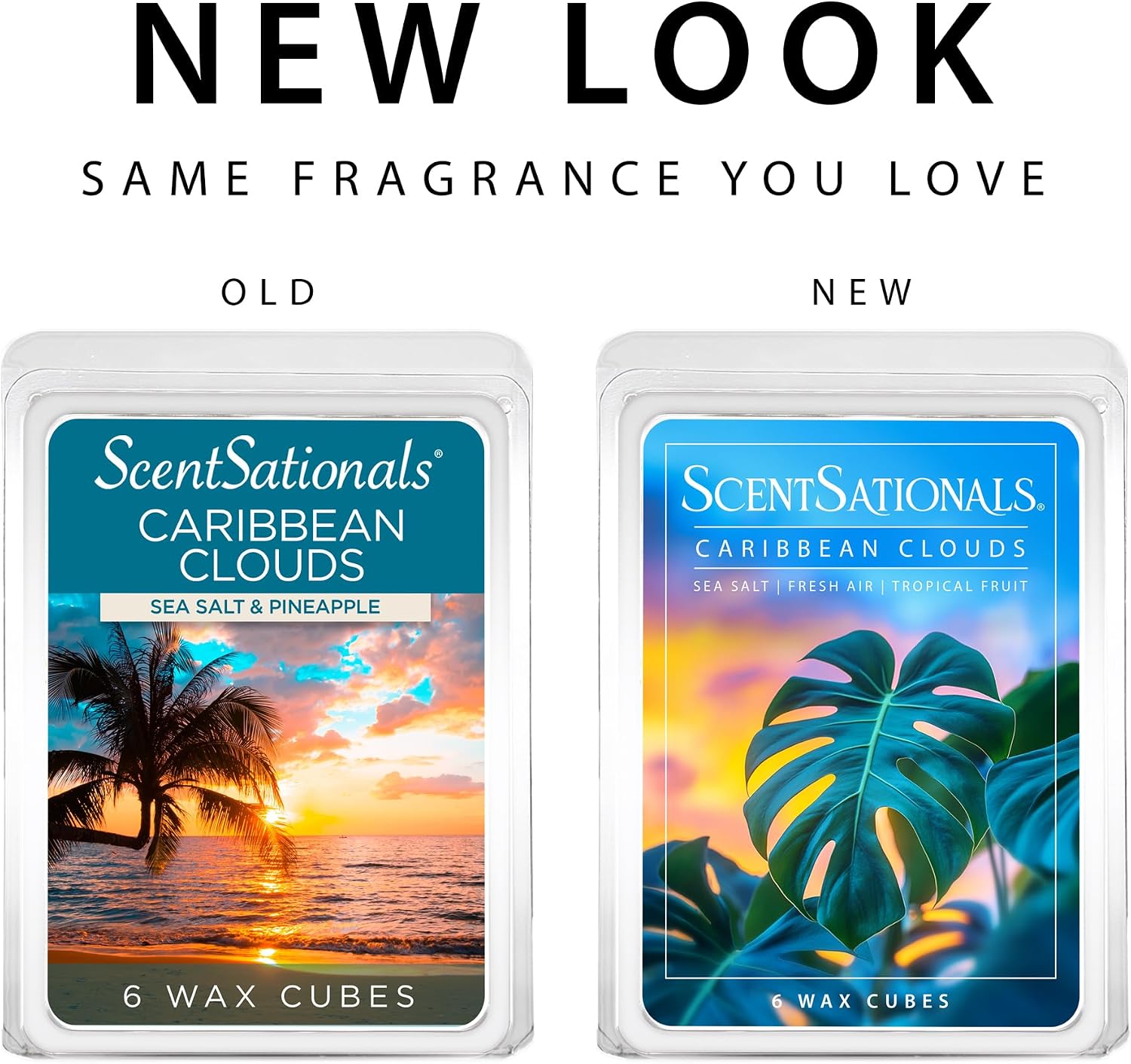 ScentSationals Caribbean Clouds Scented Wax Melts - Sea Salt, Fresh Air, & Tropical Fruits, 10oz (24 Cubes)