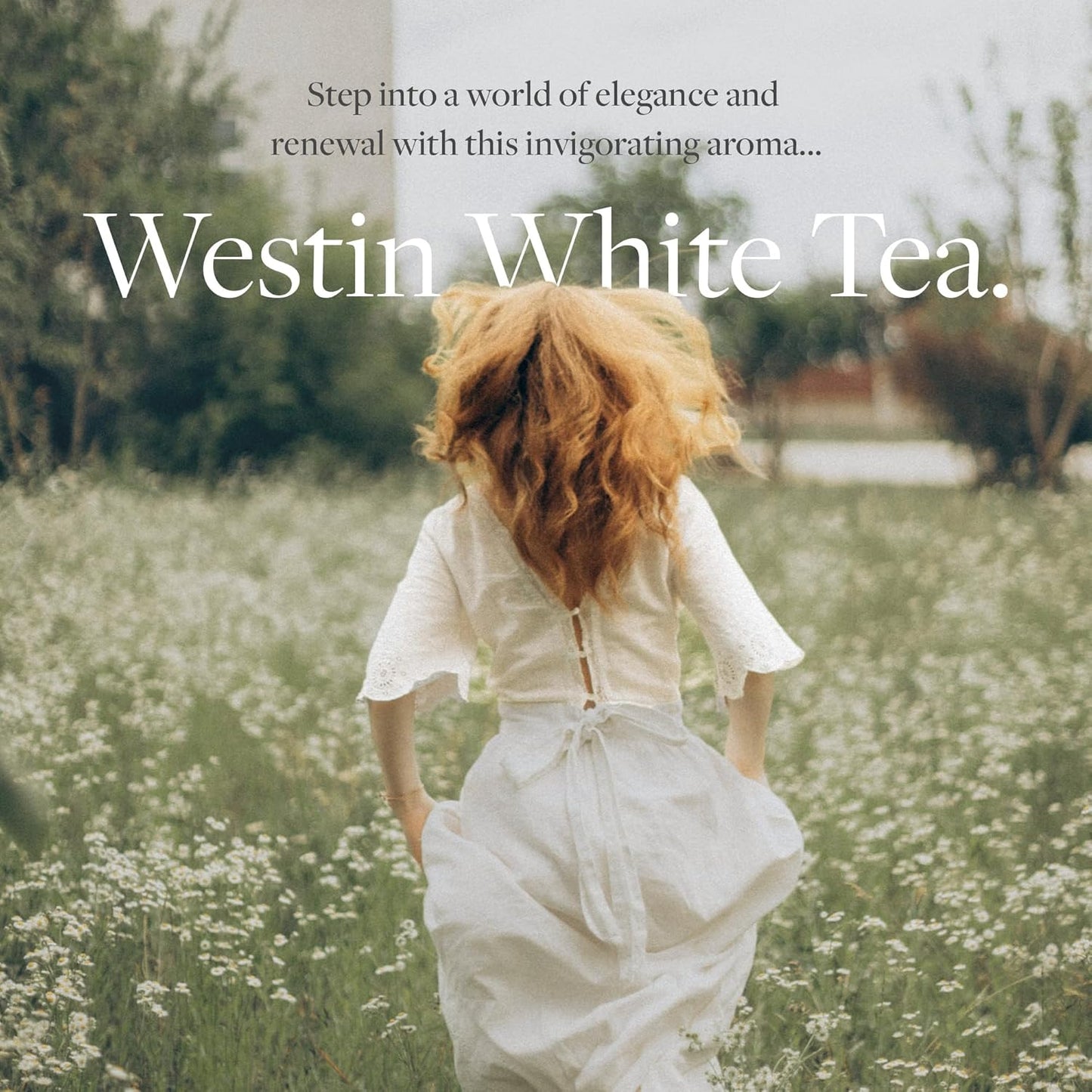 Westin Hotels - White Tea Scent Sachets - 17g (3 sachets)