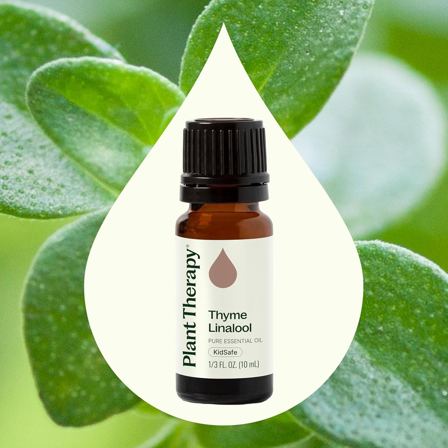 Plant Therapy Thyme Linalool Essential Oil 10 mL (1/3 oz) 100% Pure Thyme Essential Oil, Undiluted, Immune Support